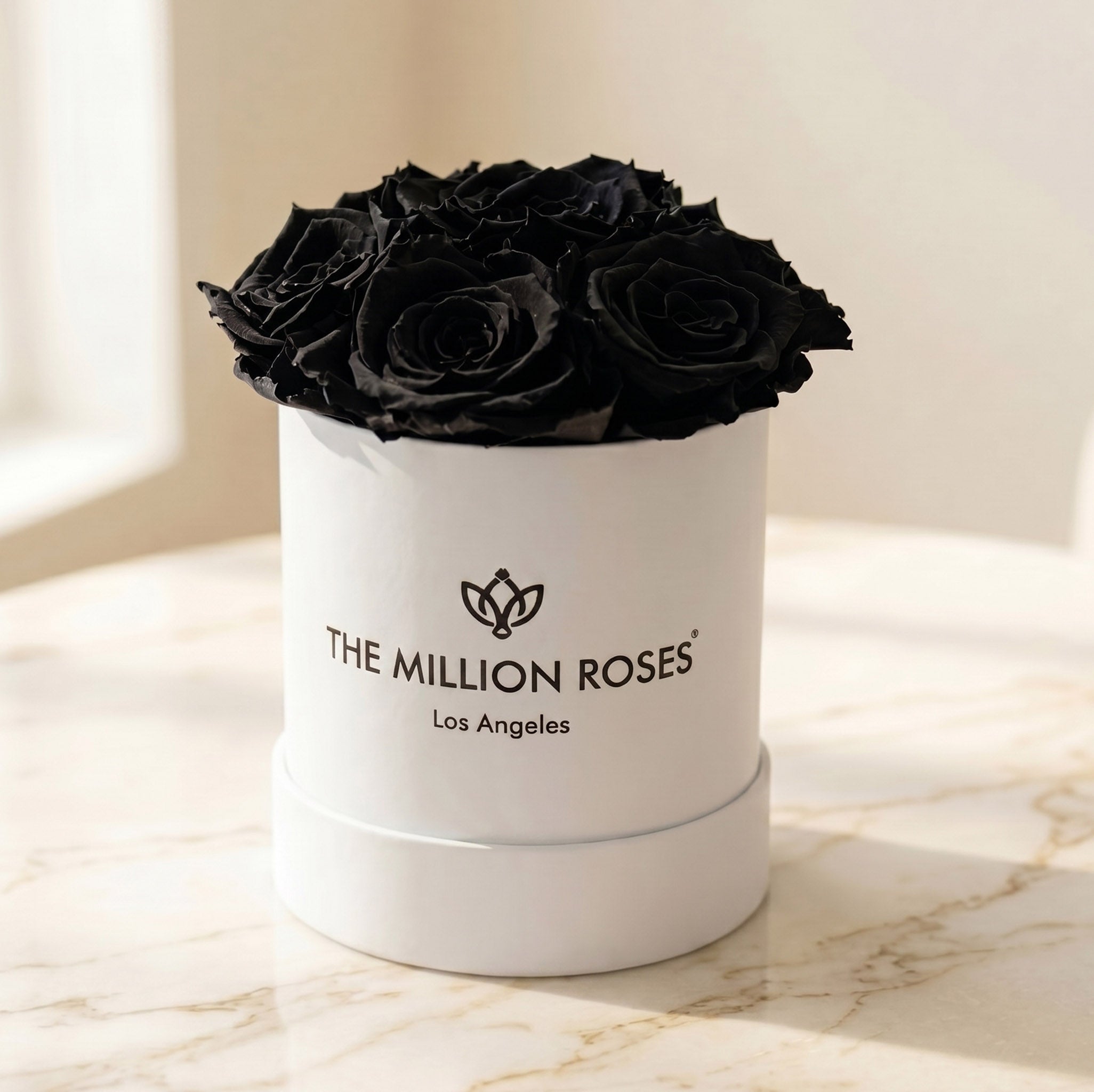 Basic White Box | Black Roses