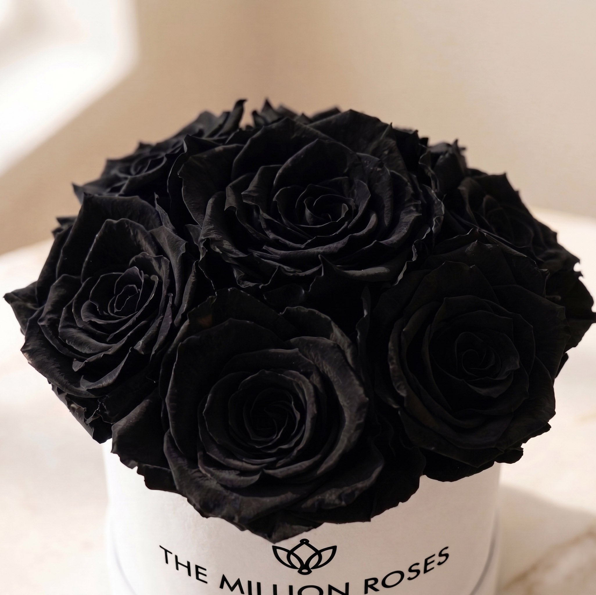 Basic White Box | Black Roses