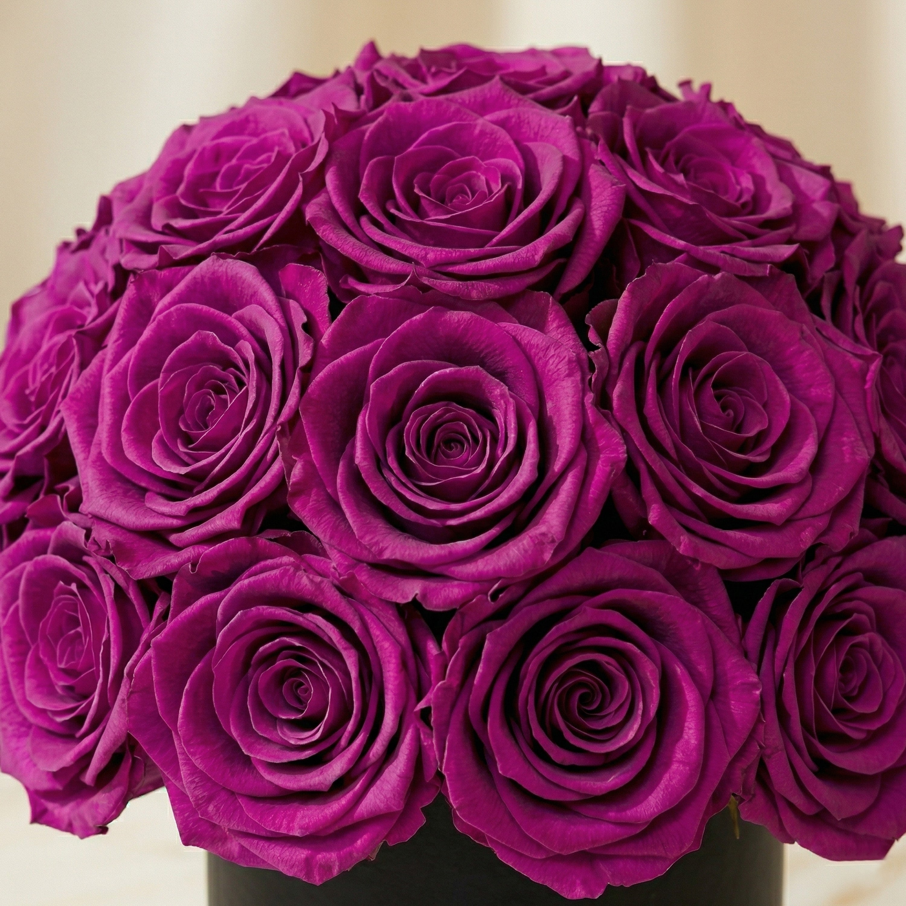 Essence Black Superdome Box | Bright Purple Roses