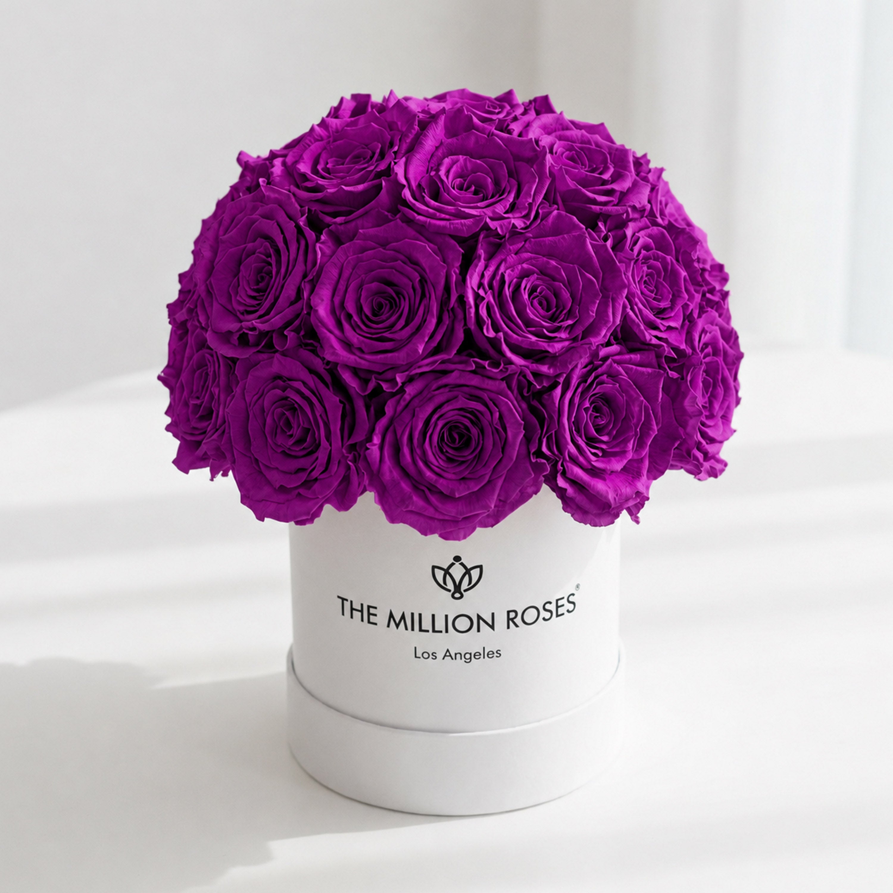 Essence White Superdome Box | Bright Purple Roses