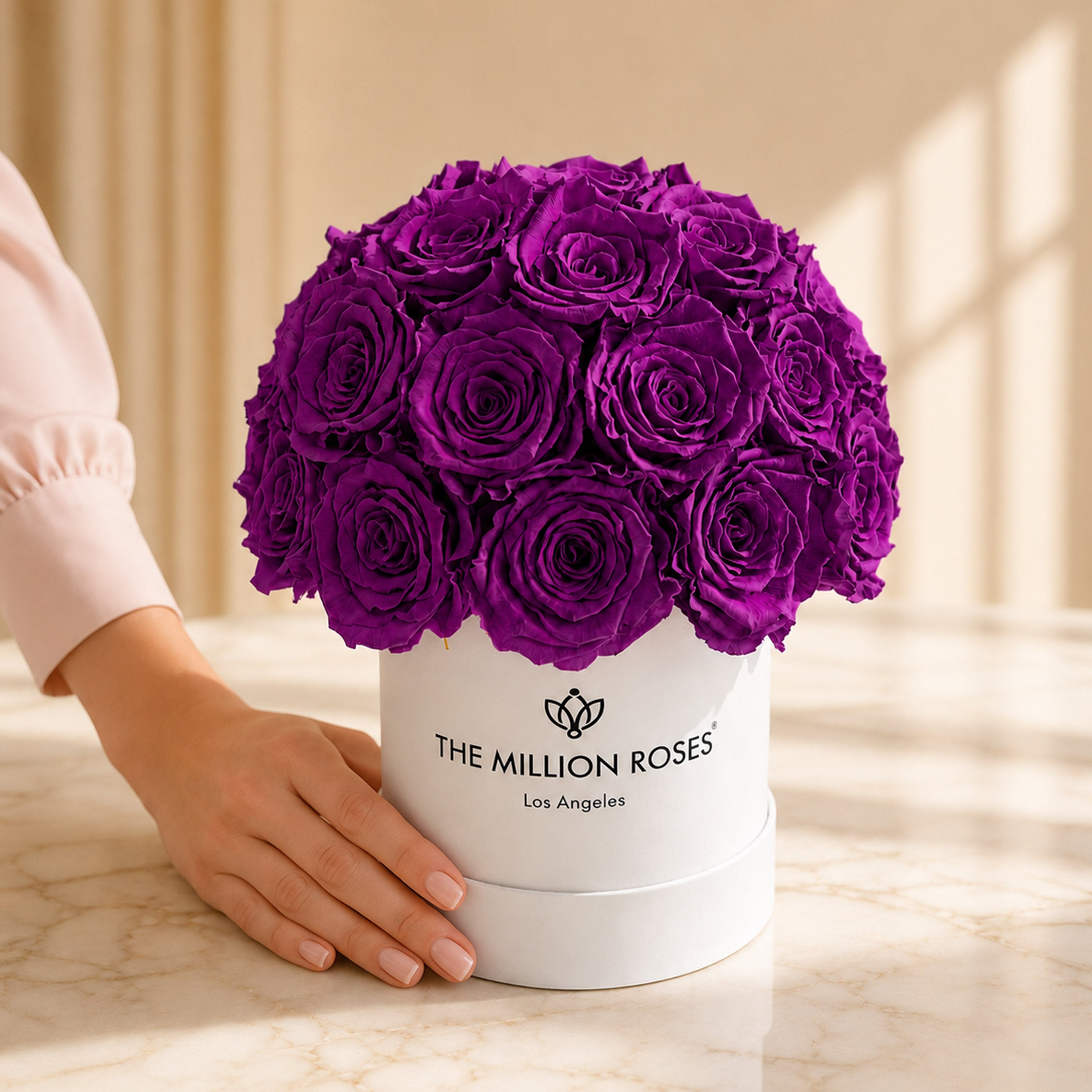 Essence White Superdome Box | Bright Purple Roses
