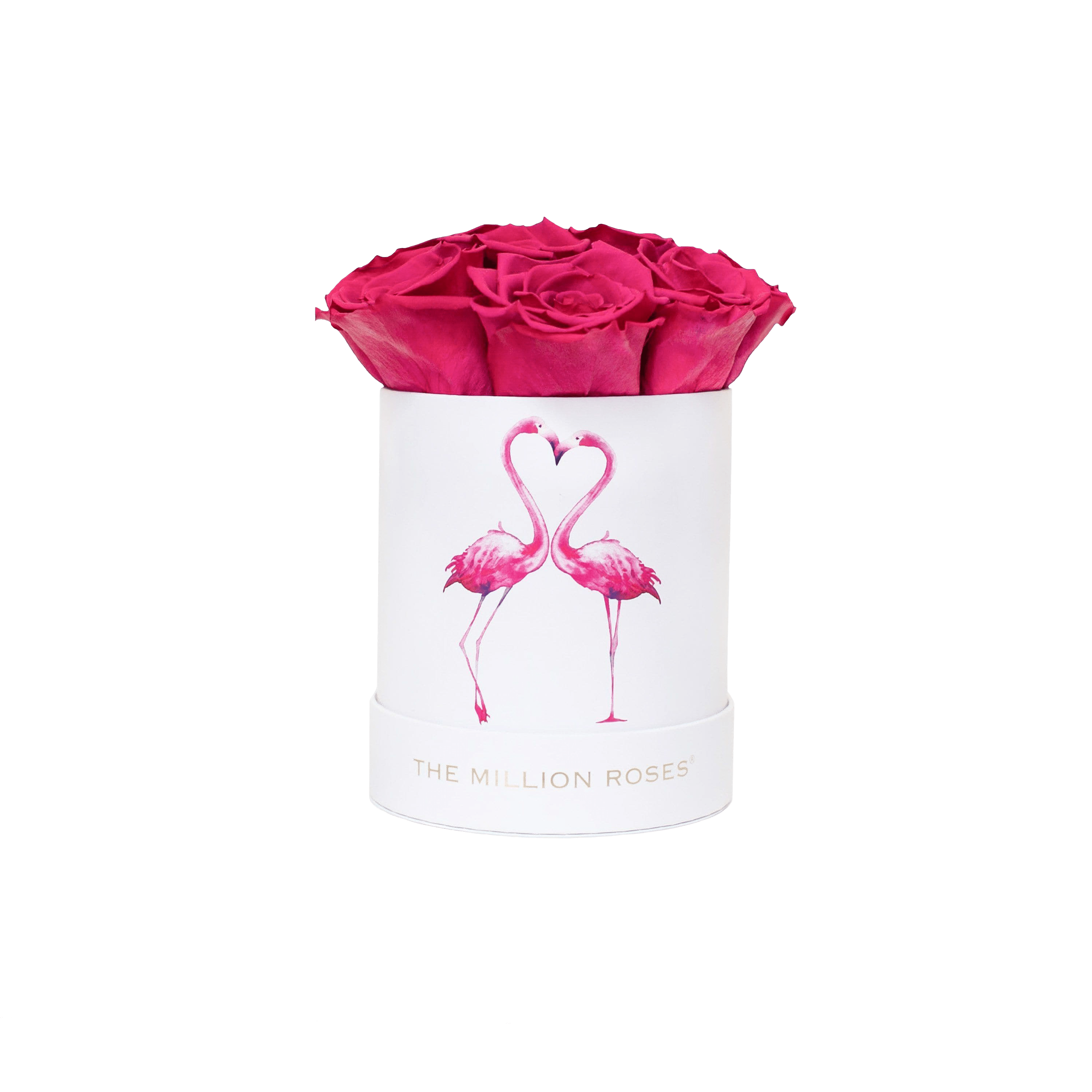 Biely Basic Box | Flamingo Edition | Purpurové ruže