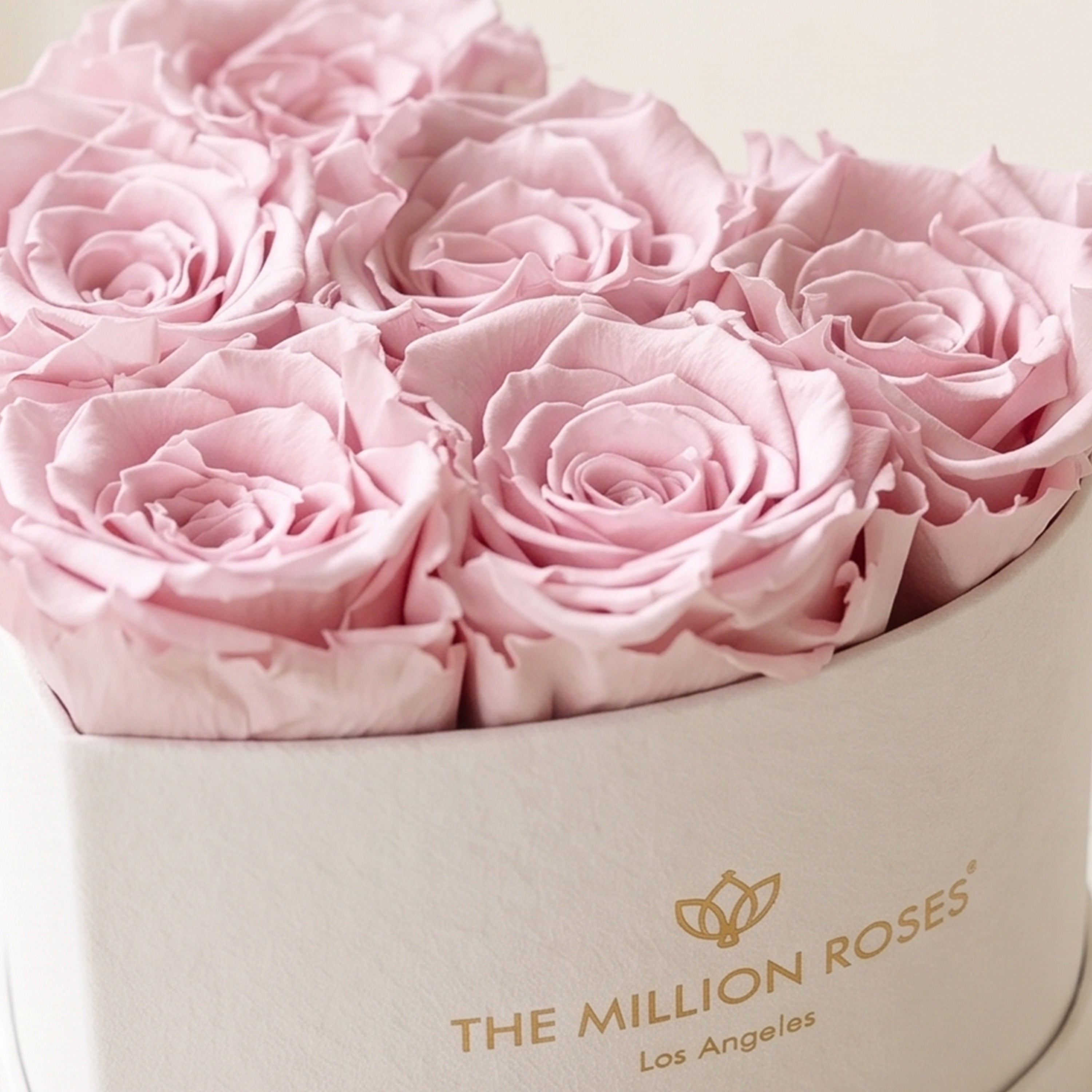 Baby Heart Beige Box | Light Pink Roses