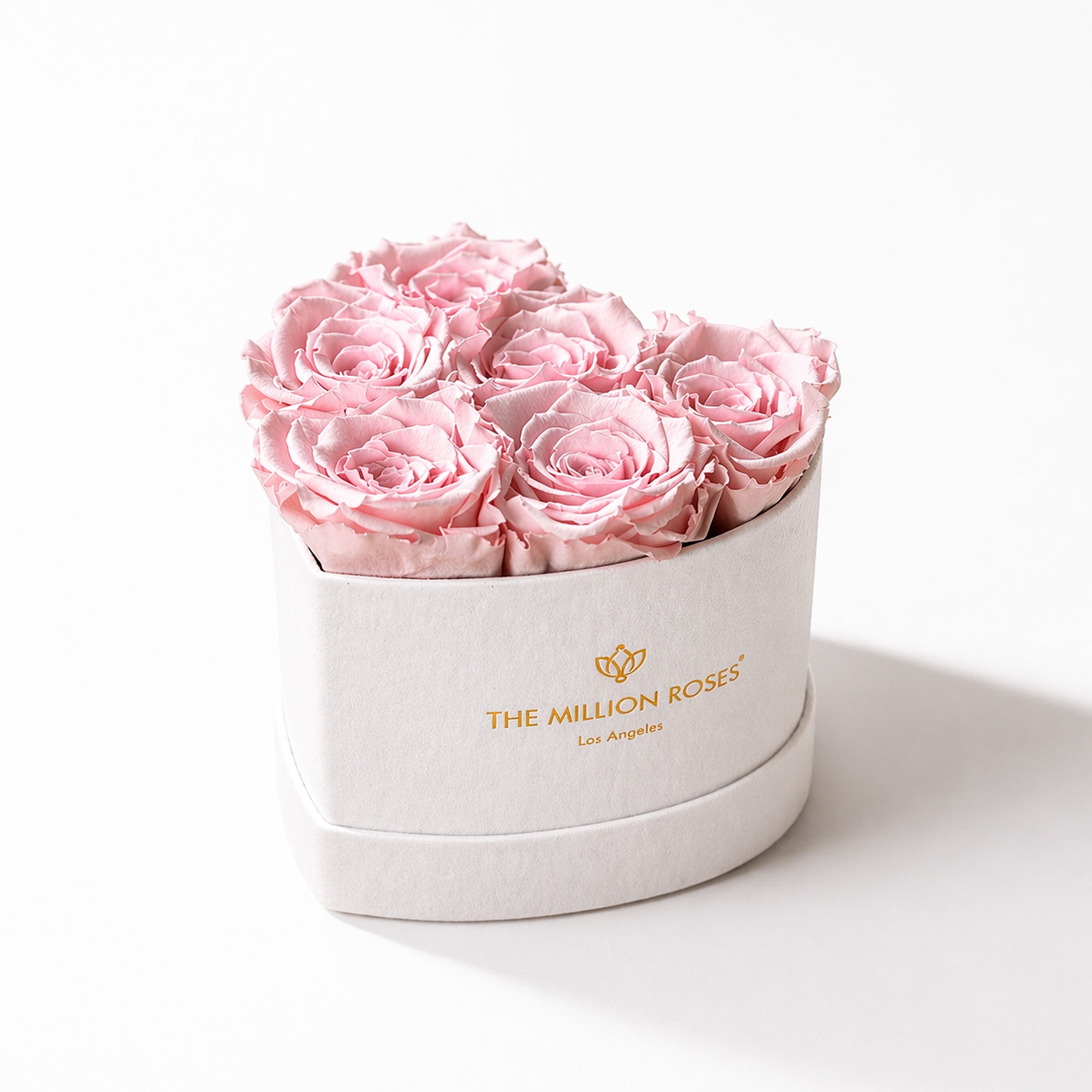 Baby Heart Beige Box | Light Pink Roses