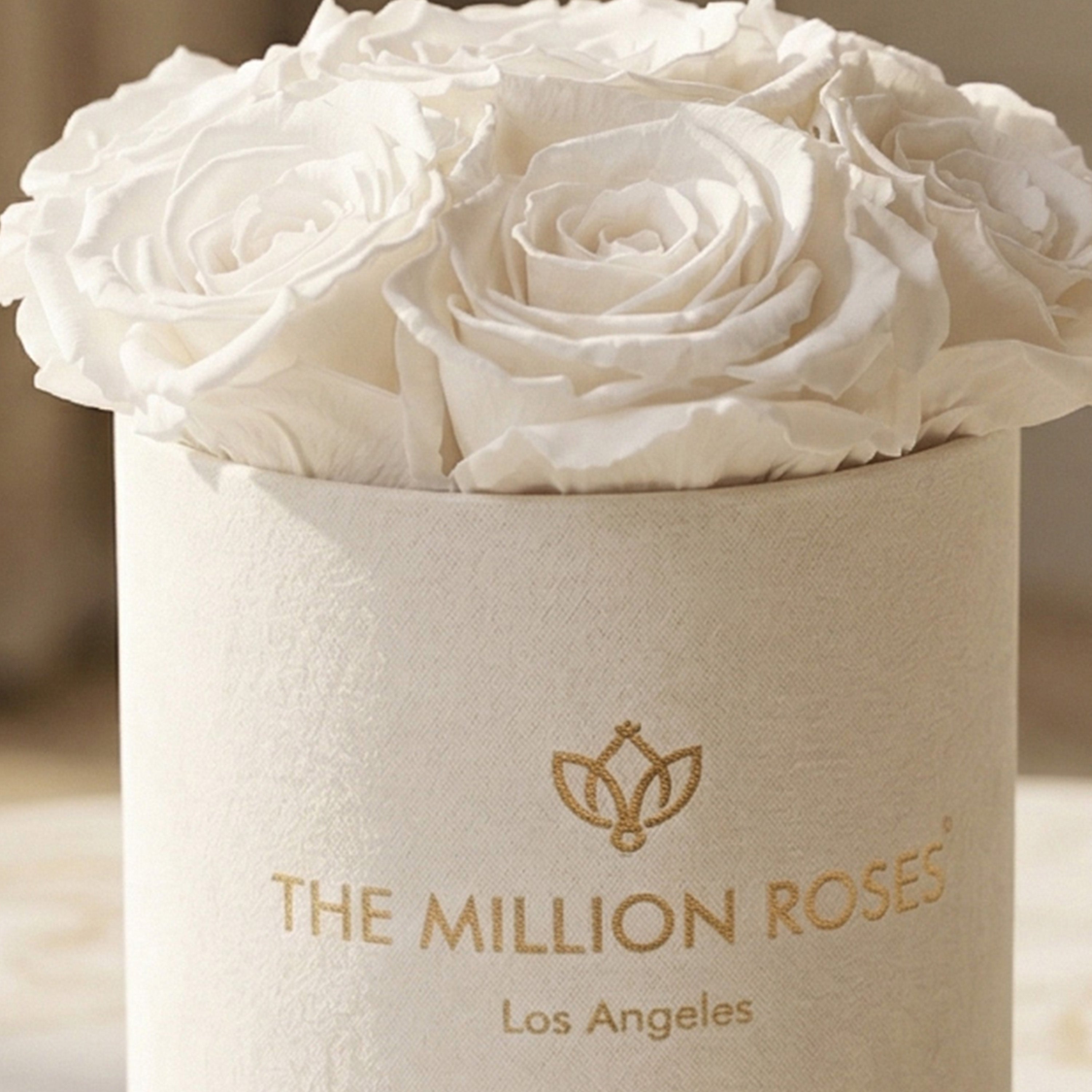 Basic Beige Suede Box | White Roses