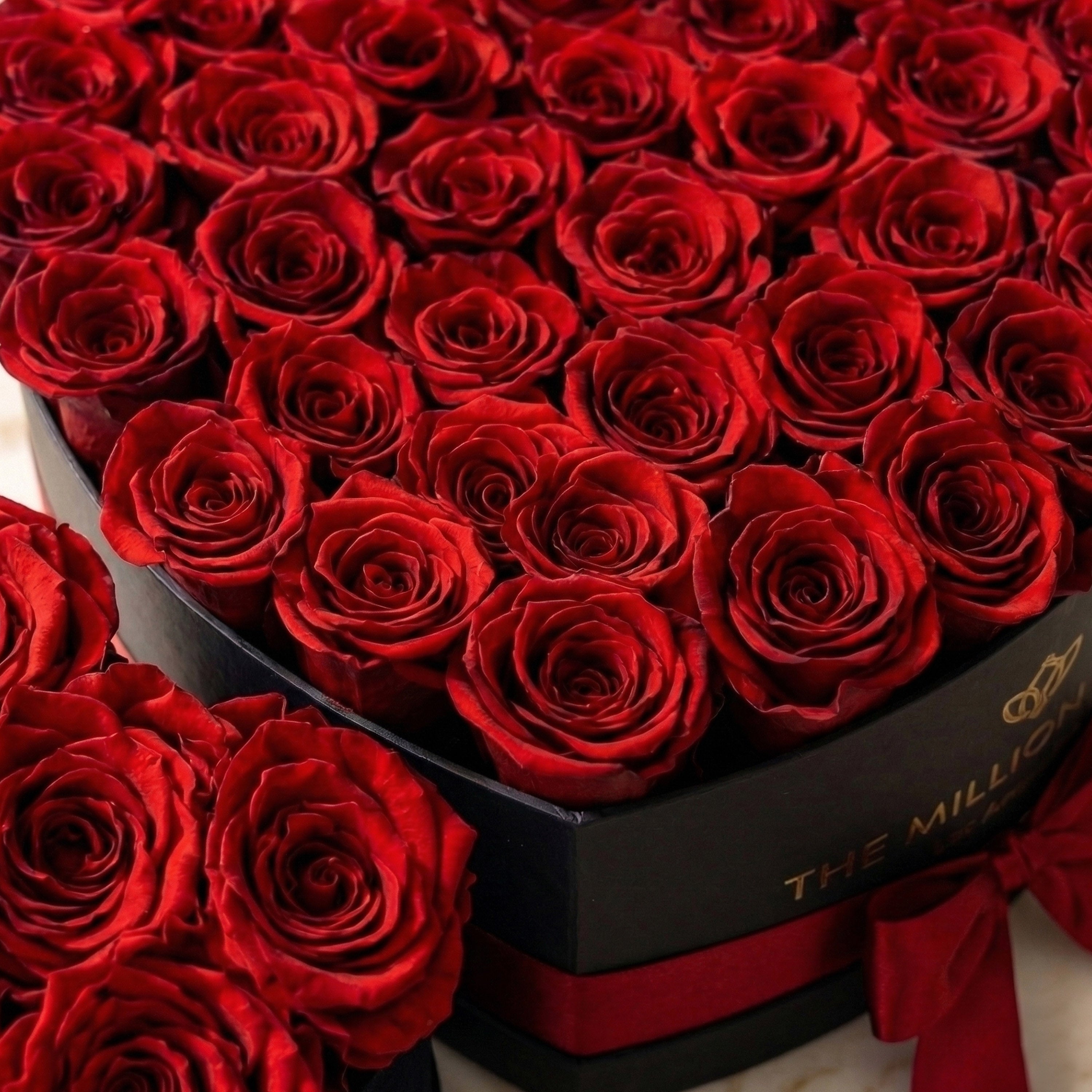 The Heart Duo Bundle - Black Heart & Baby Heart With Red Roses