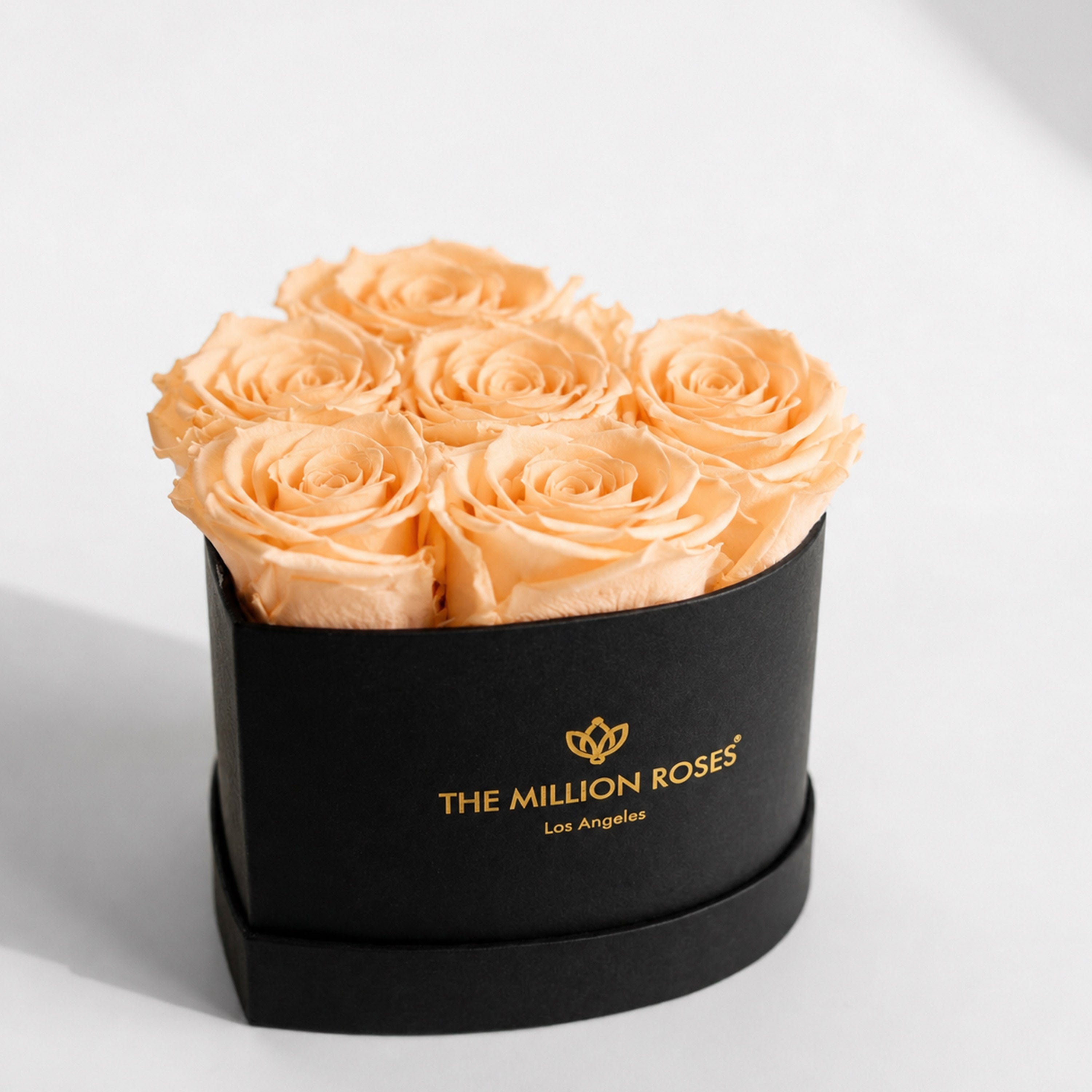 Baby Heart Black Box | Peach Roses