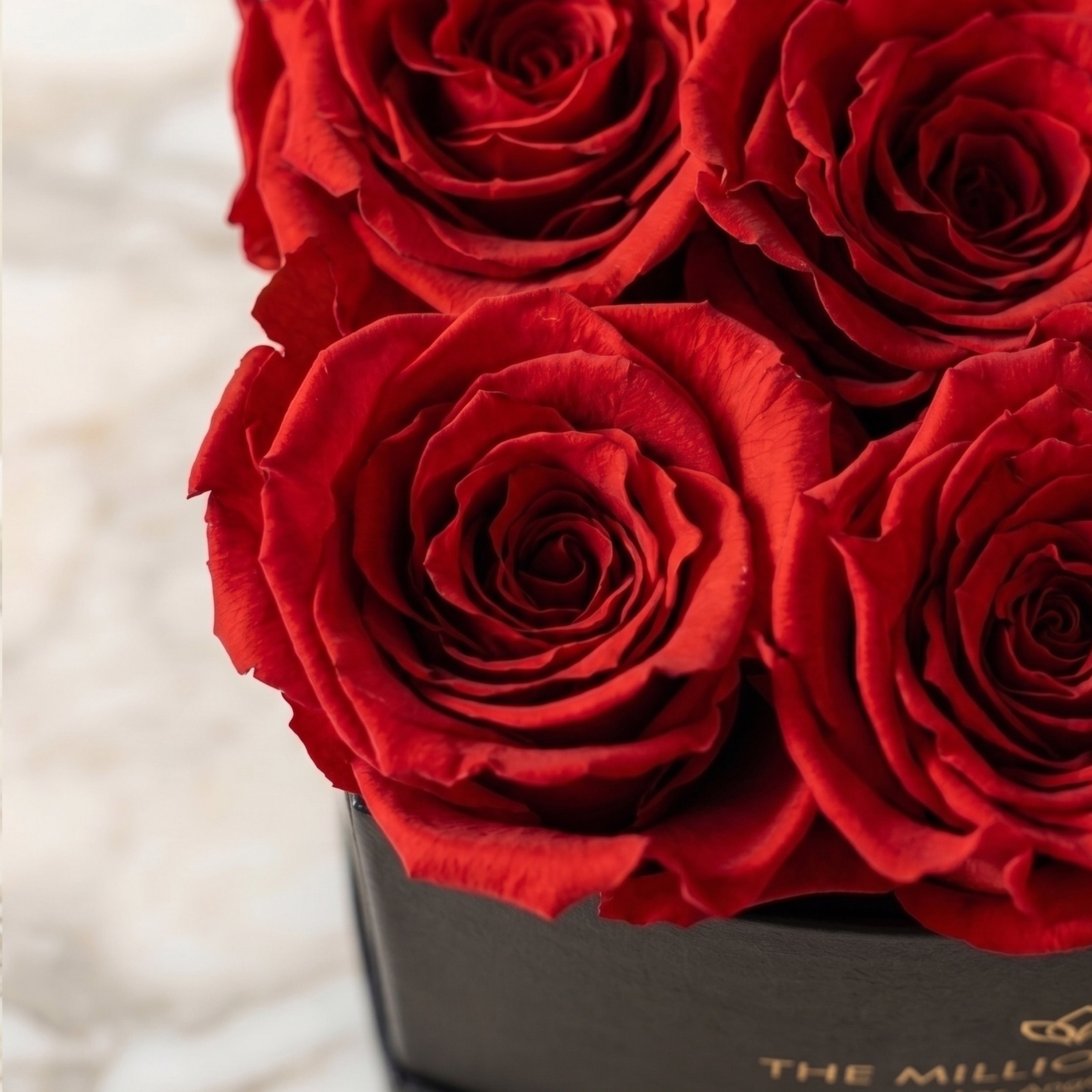 Baby Heart Black Box | Red Roses