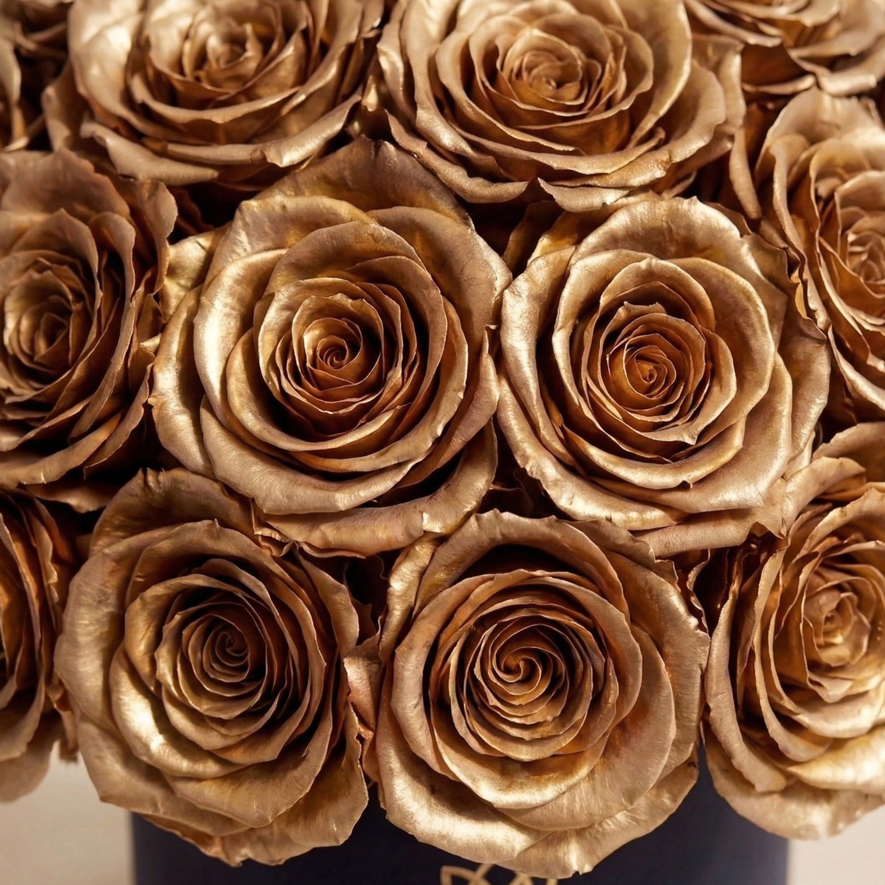 Basic Black Superdome Box | Gold Roses