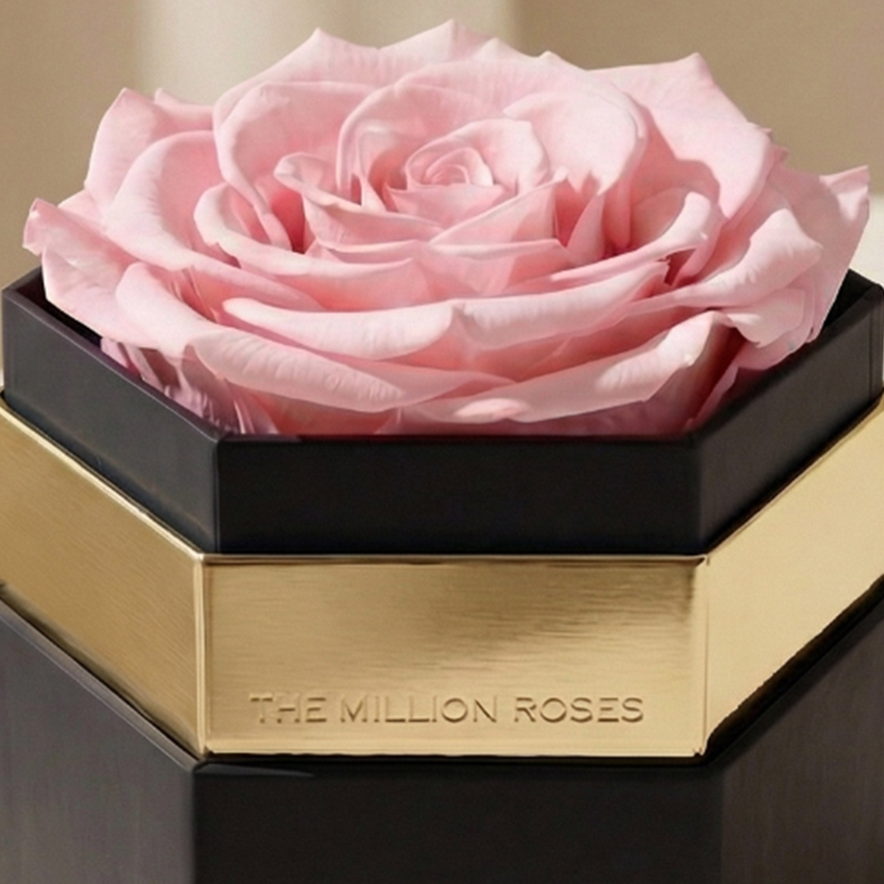 One in a Million™ Black Hexagon Box | Light Pink Rose