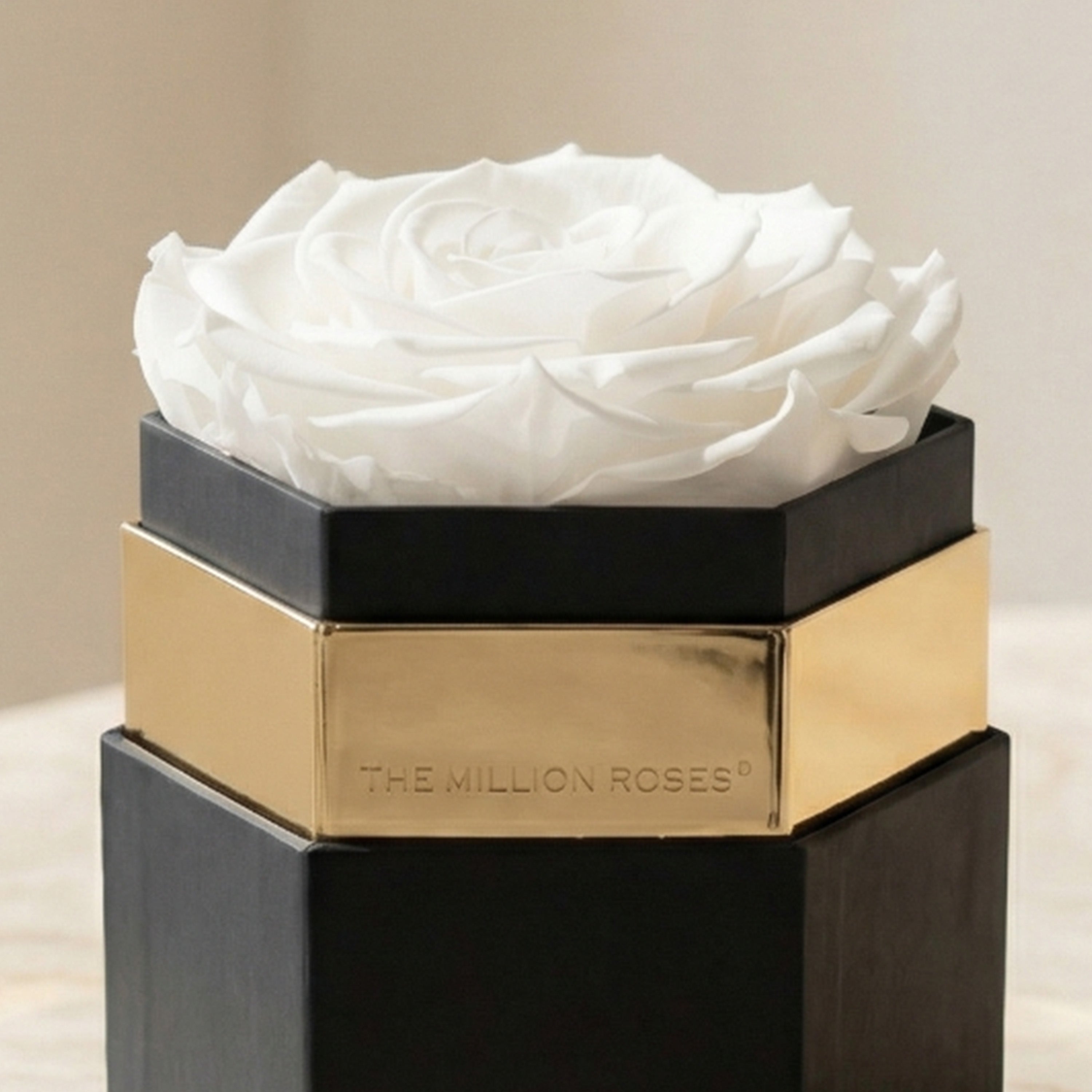One in a Million™ Black Hexagon Box | White Rose