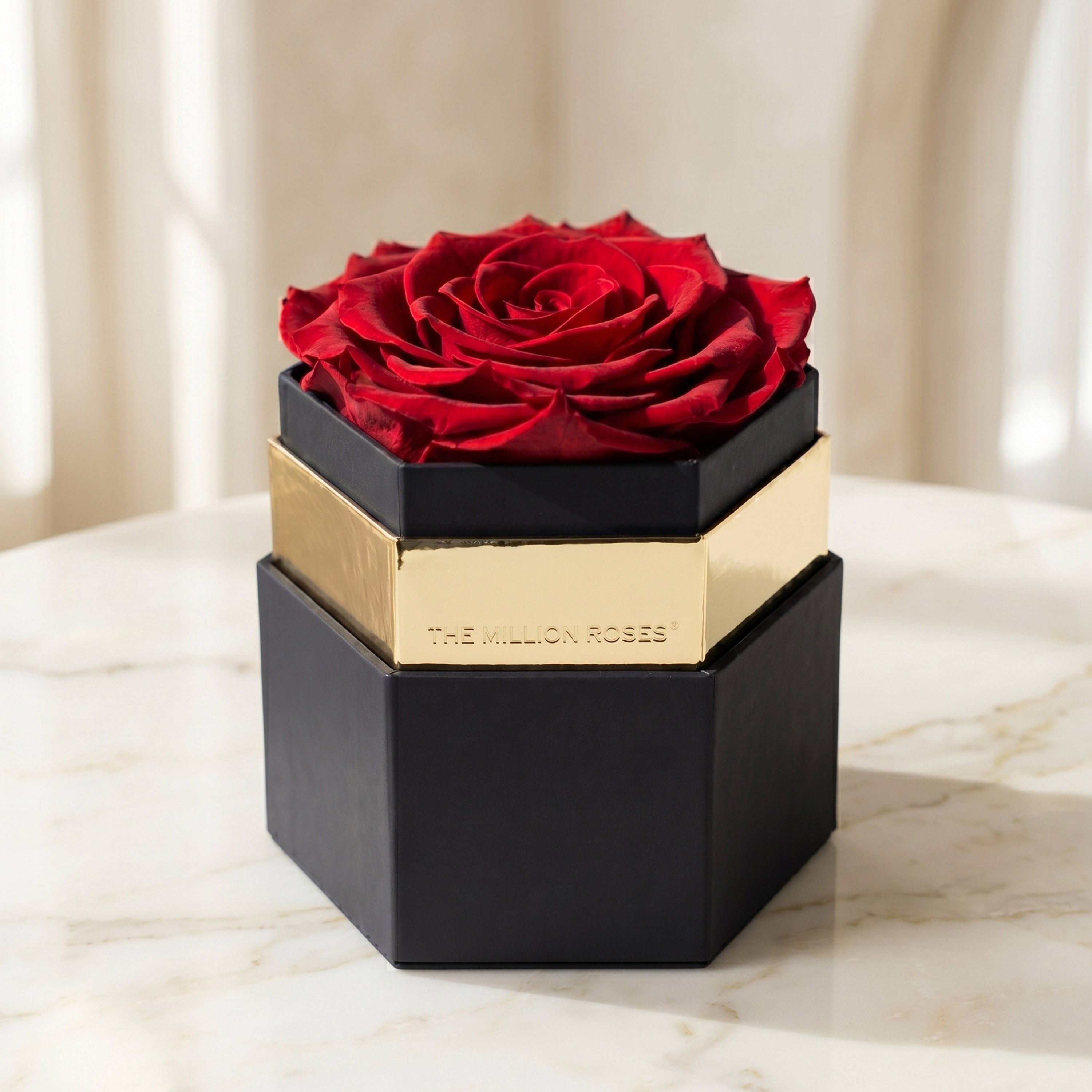 バラ6と11box One in a Million™ Black Hexagon Box | Red Rose