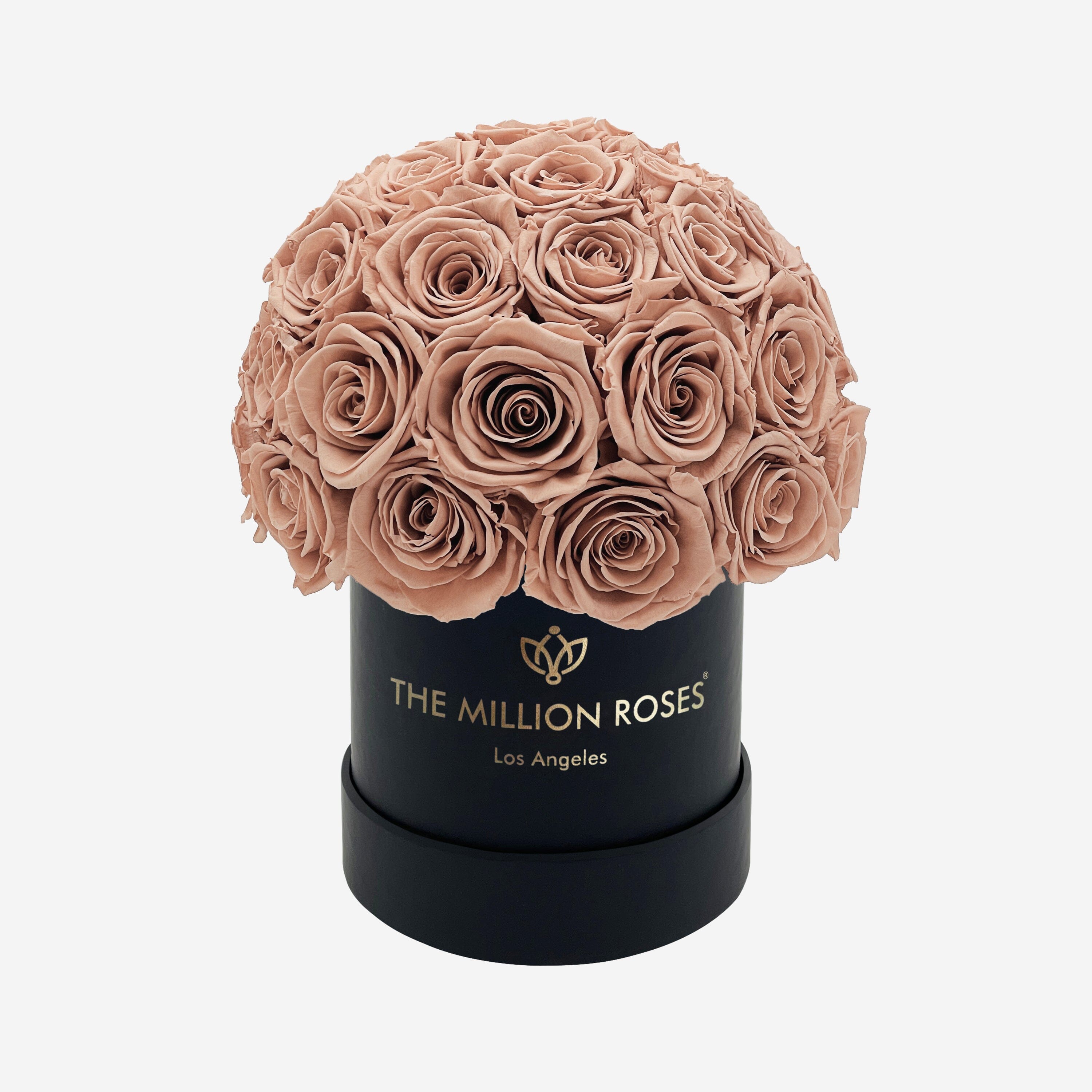 Basic Black Superdome Box | Sand Roses