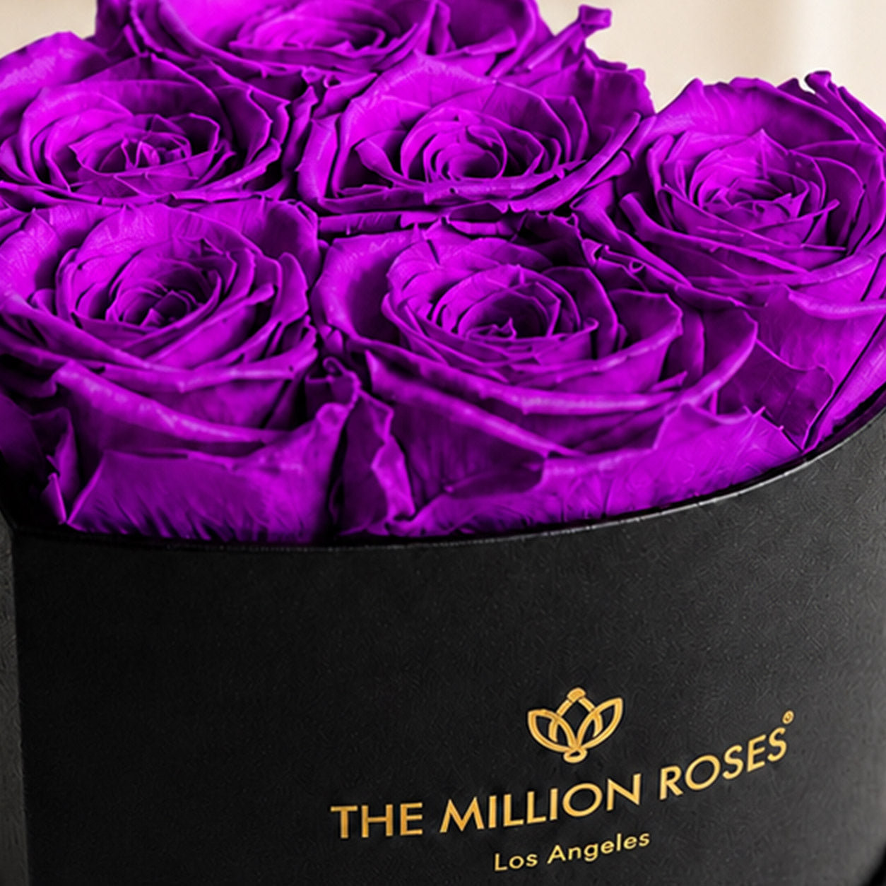 Baby Heart Black Box | Bright Purple Roses
