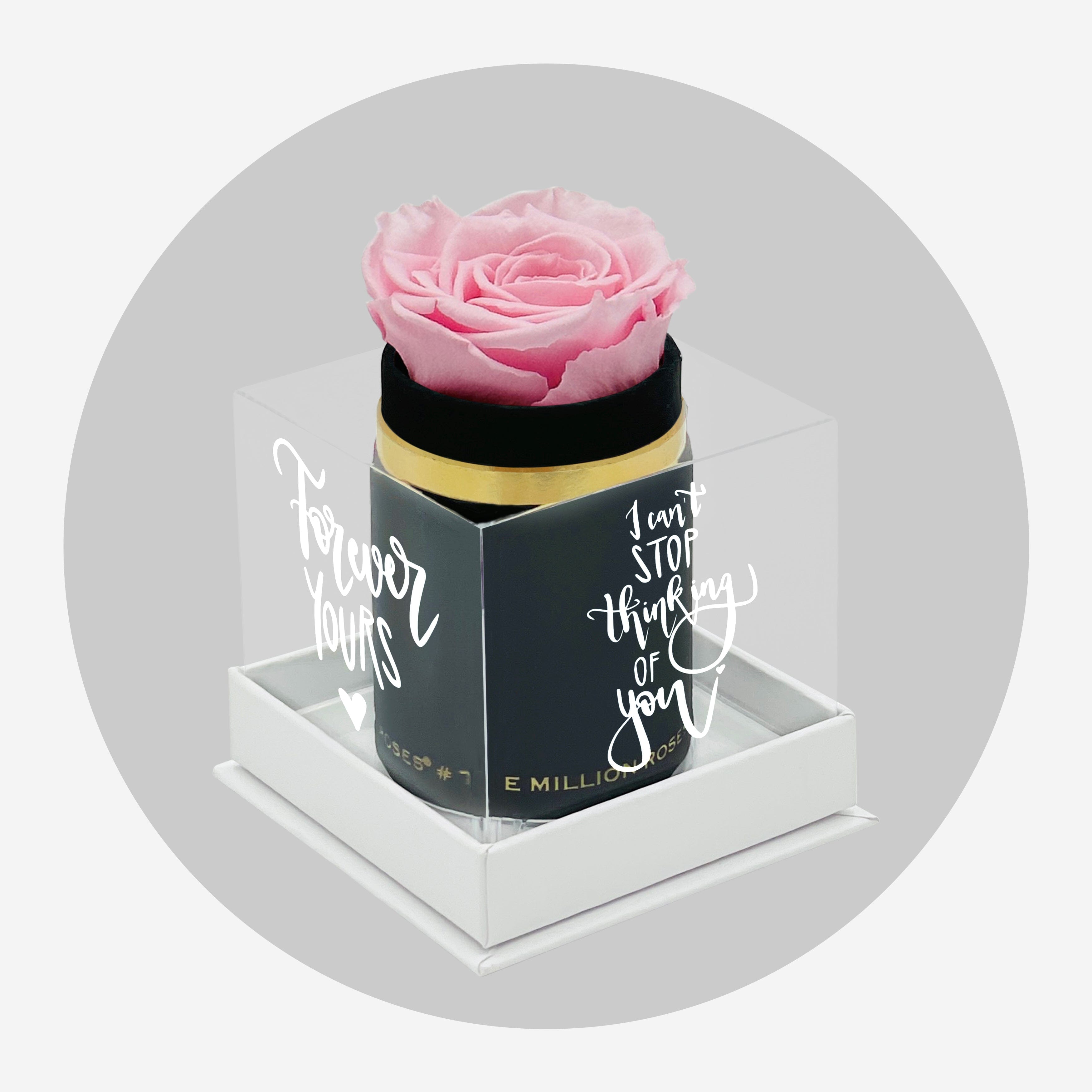 Single Black Suede Box | Limited Love Note Edition | Light Pink Rose