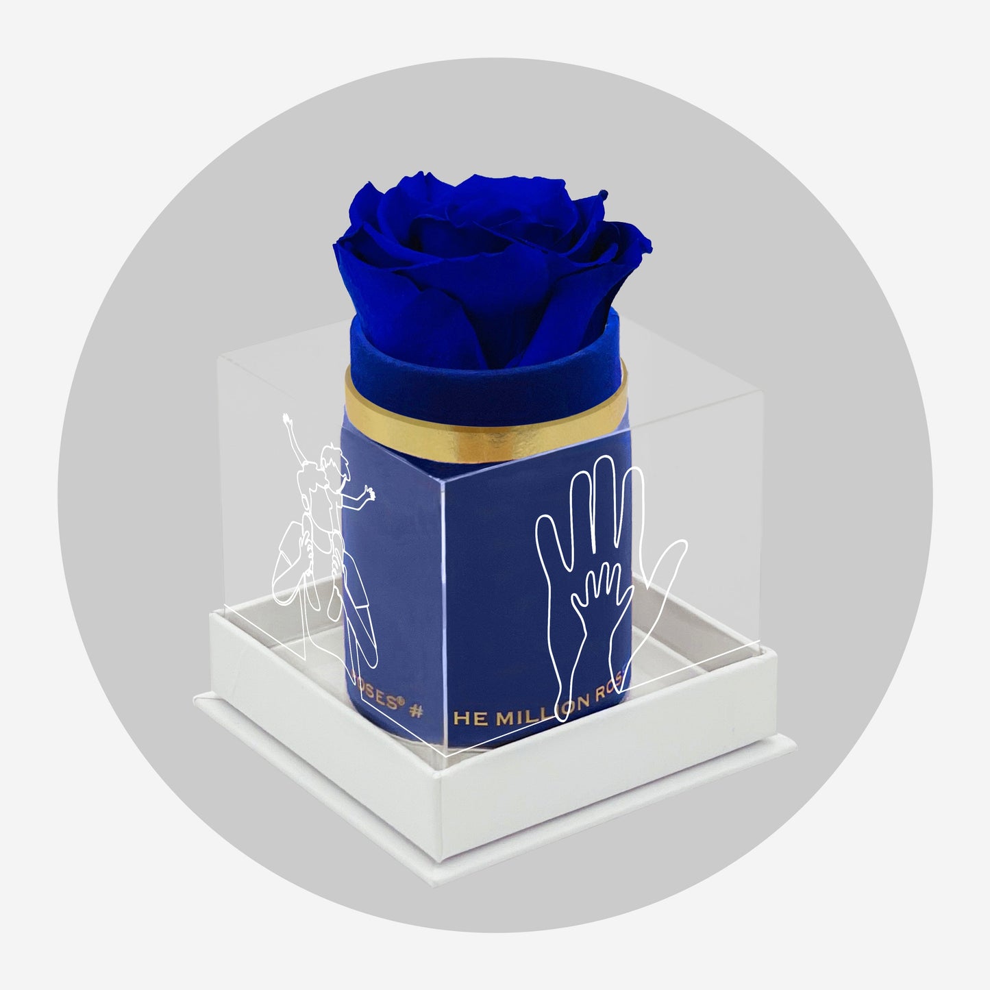 Single Královsky Modrý Suede Box | Limited Father's Love Edition | Královsky modrá růže