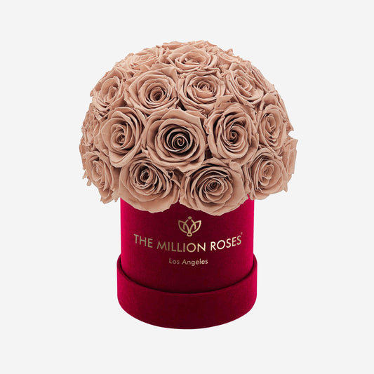 Basic Bordeaux Suede Superdome Box | Pískové růže