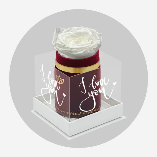 Single Bordeaux Suede Box | Limited Love Note Edition | White Rose