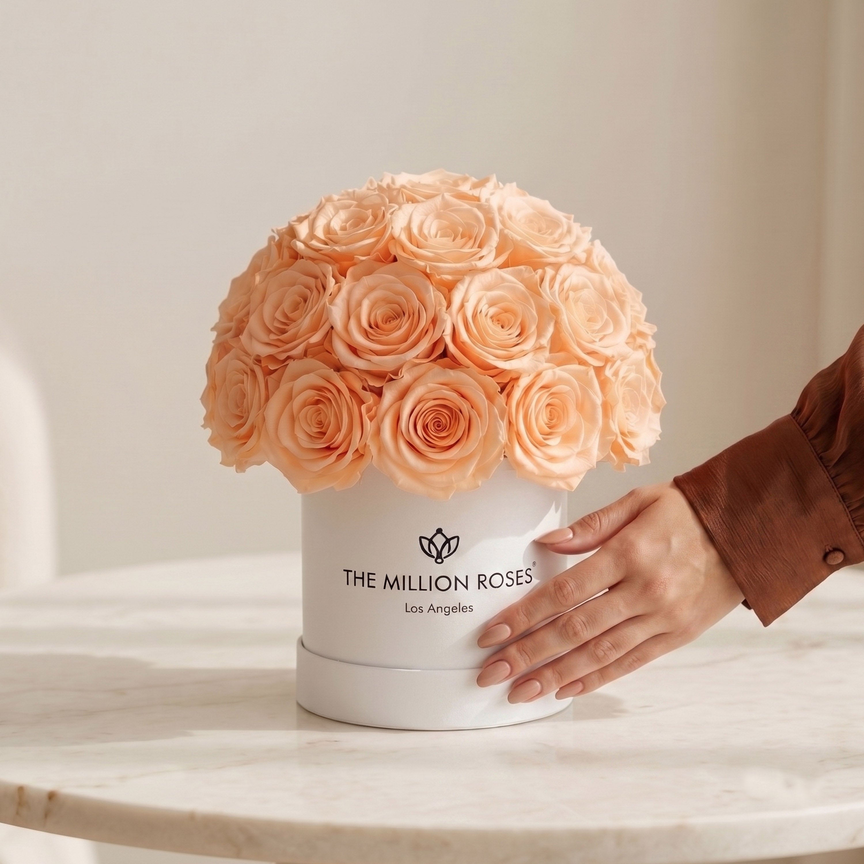 Essence White Superdome Box | Peach Roses