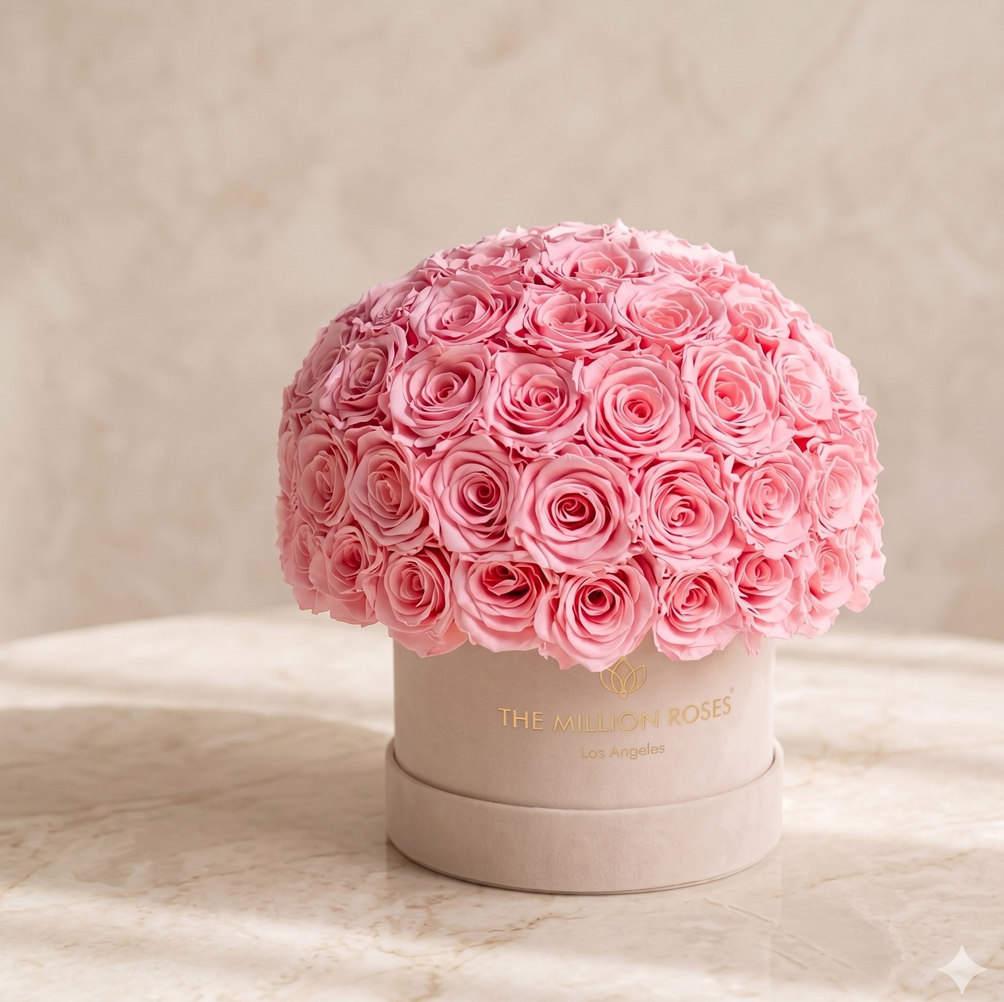 Classic Beige Suede Superdome Box | Light Pink Roses