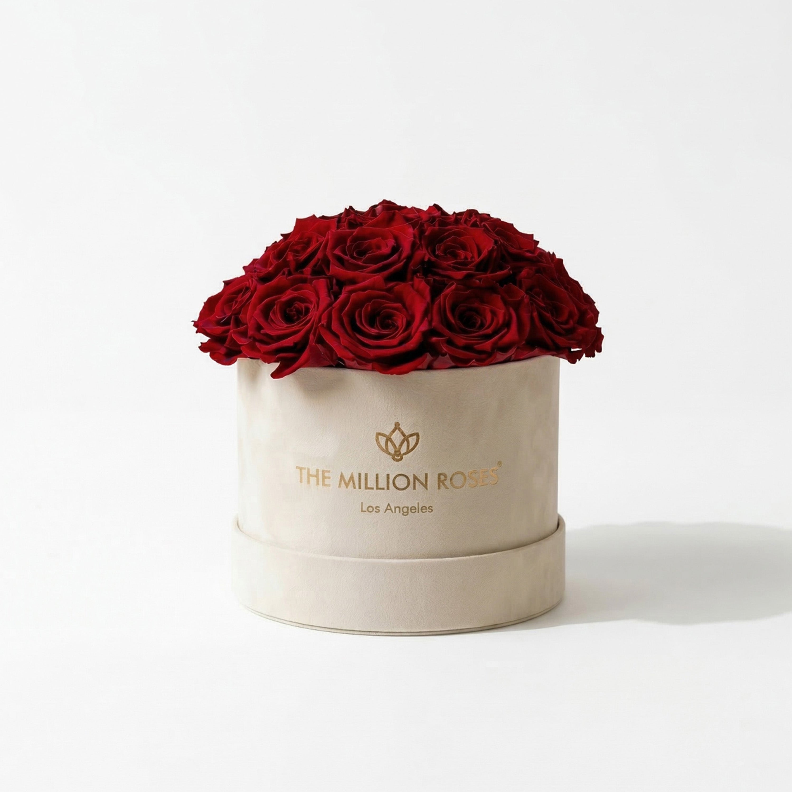 Classic Beige Suede Dome Box | Red Roses