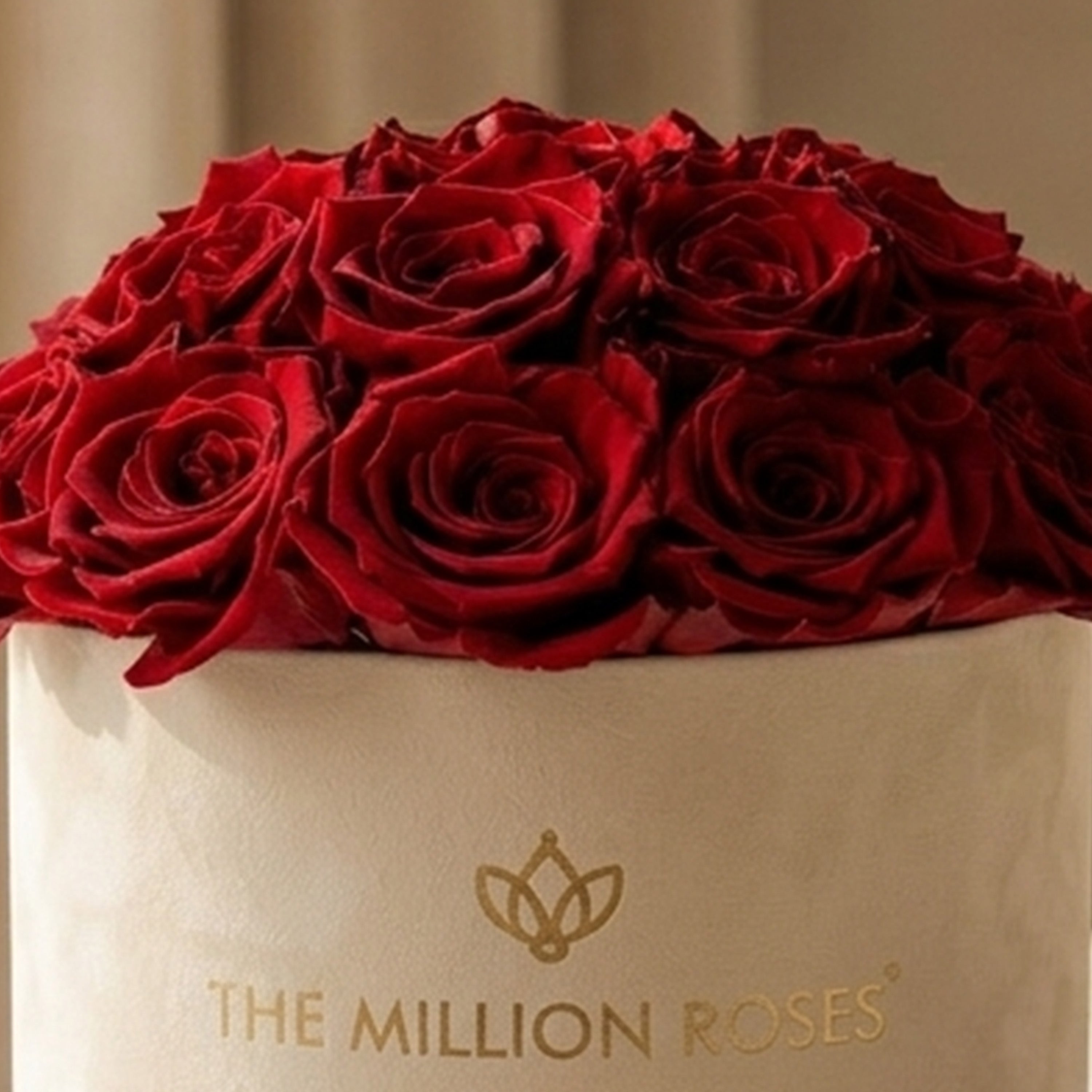 Classic Beige Suede Dome Box | Red Roses