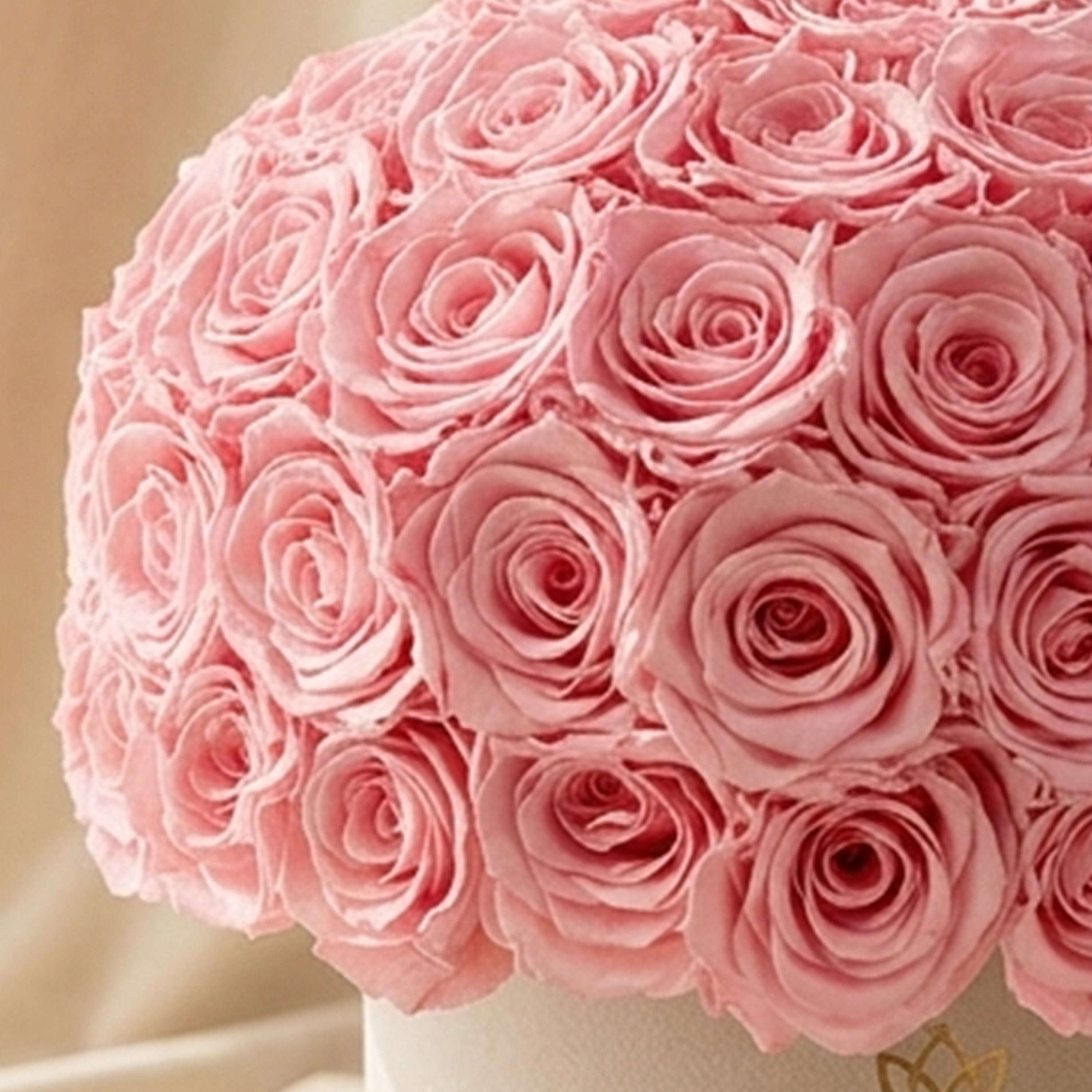 Classic Beige Suede Superdome Box | Light Pink Roses