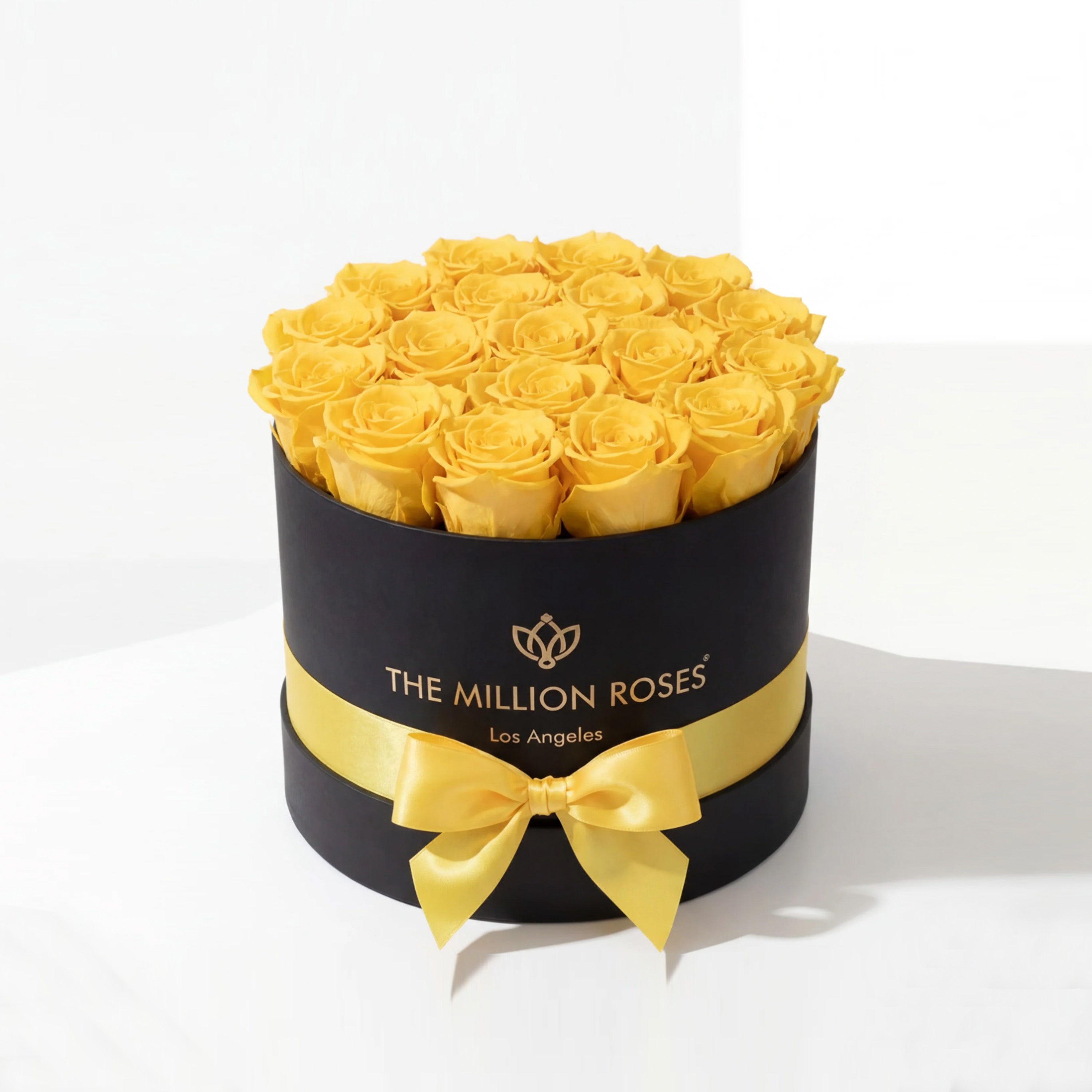 Classic Black Box | Yellow Roses