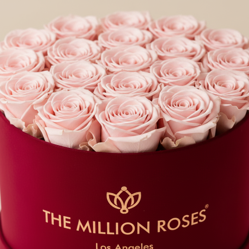 Classic Bordeaux Suede Box | Light Pink Roses