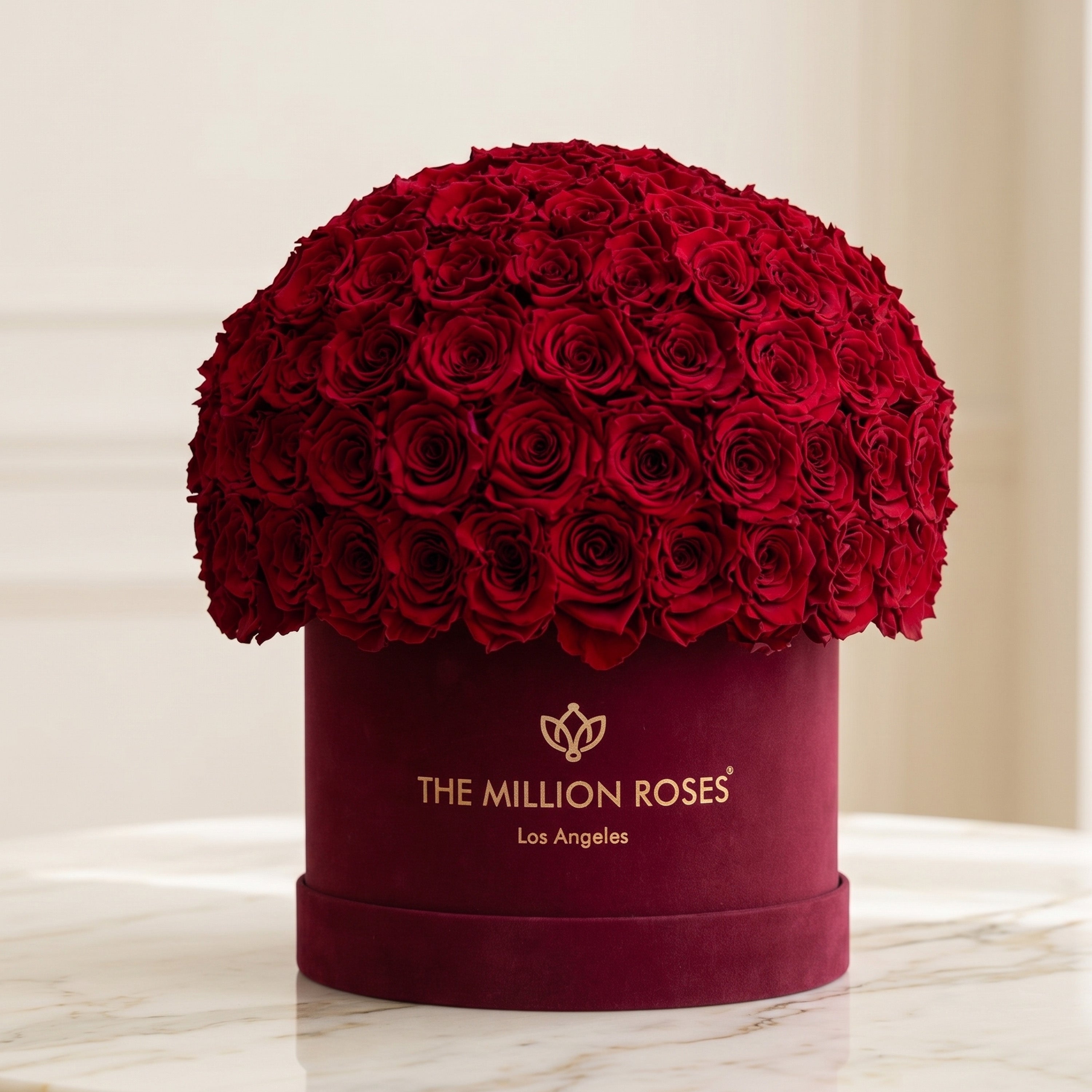 Classic Bordeaux Suede Superdome Box | Red Roses