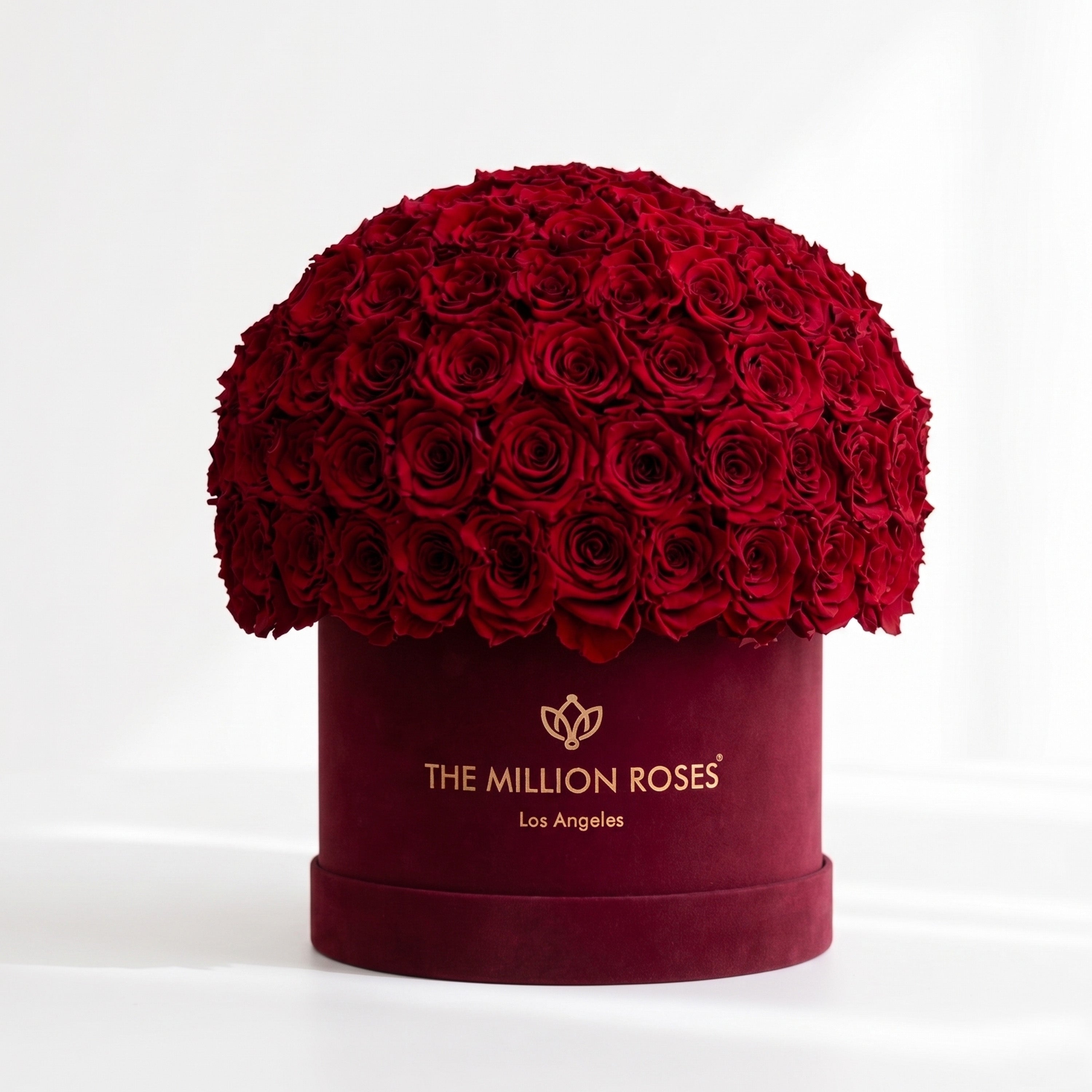Classic Bordeaux Suede Superdome Box | Red Roses