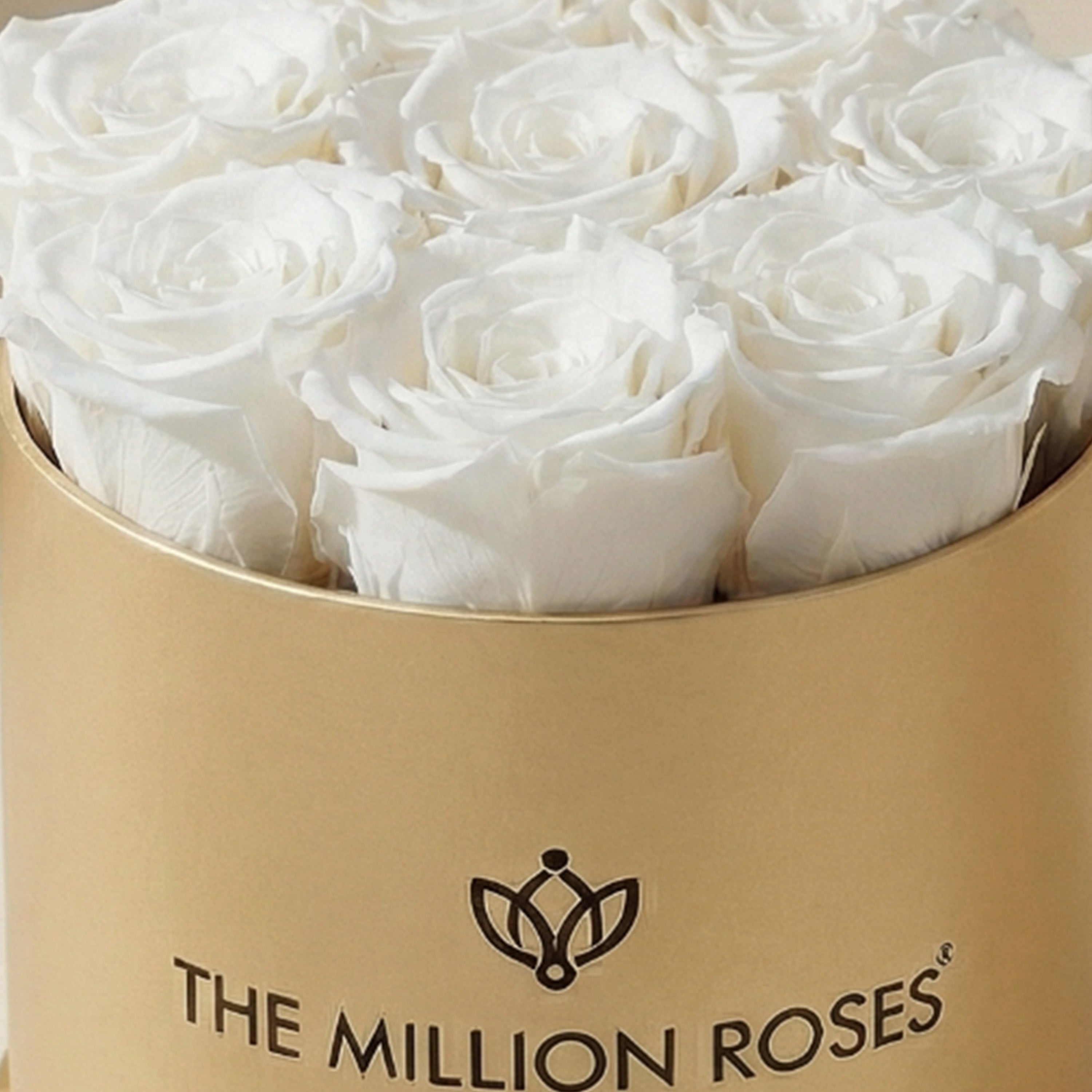 Basic Gold Box | White Roses