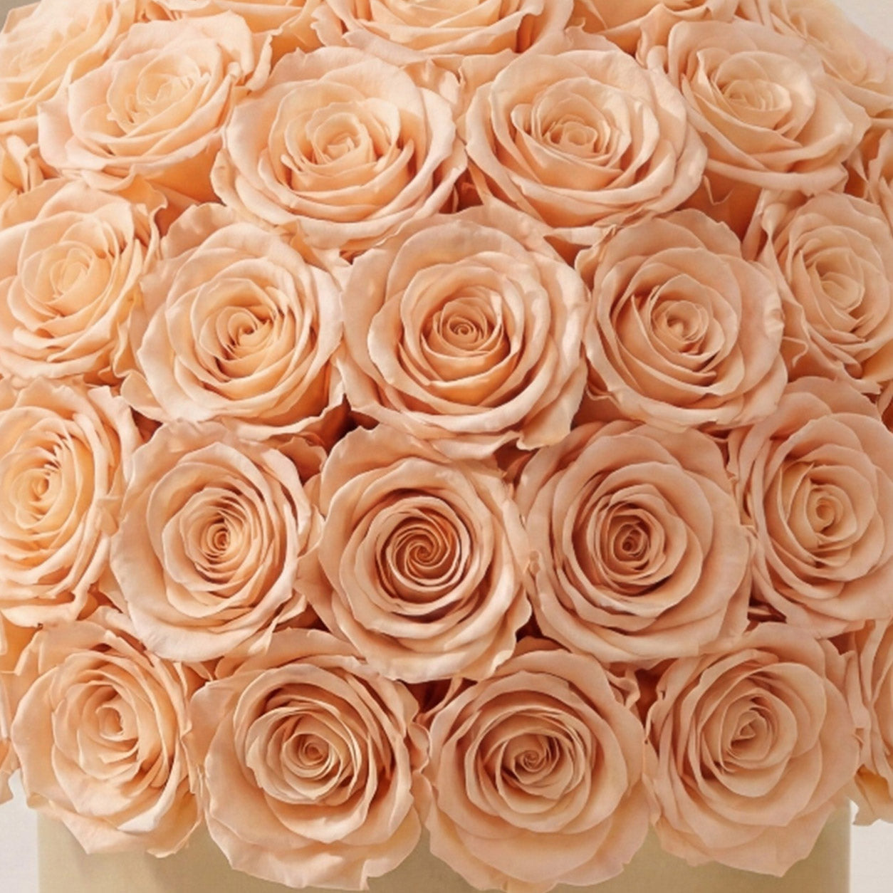 Classic Gold Superdome Box | Peach Roses