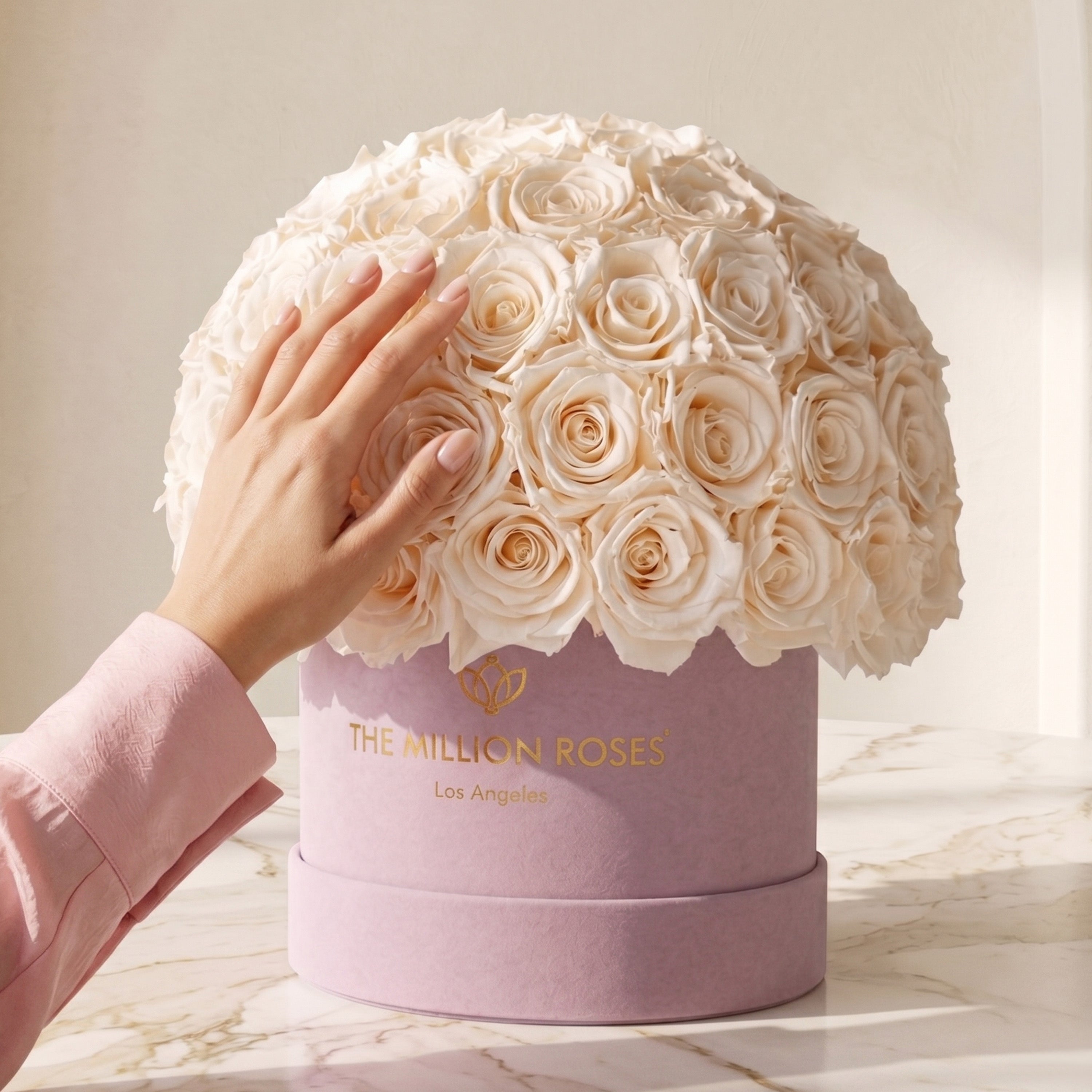 Classic Light Pink Suede Superdome Box | White Roses
