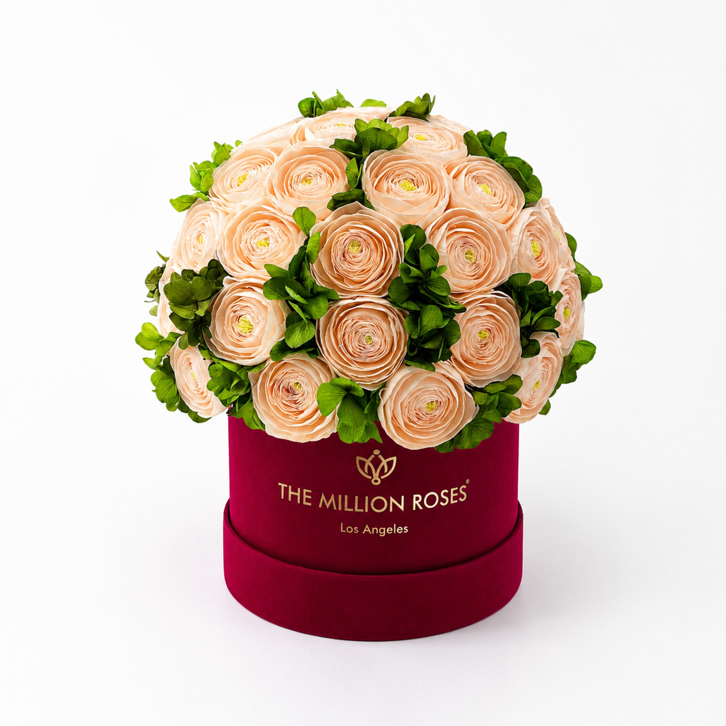Classic Bordeaux Suede Box | Peach Persian Buttercups & Green Hydrangeas