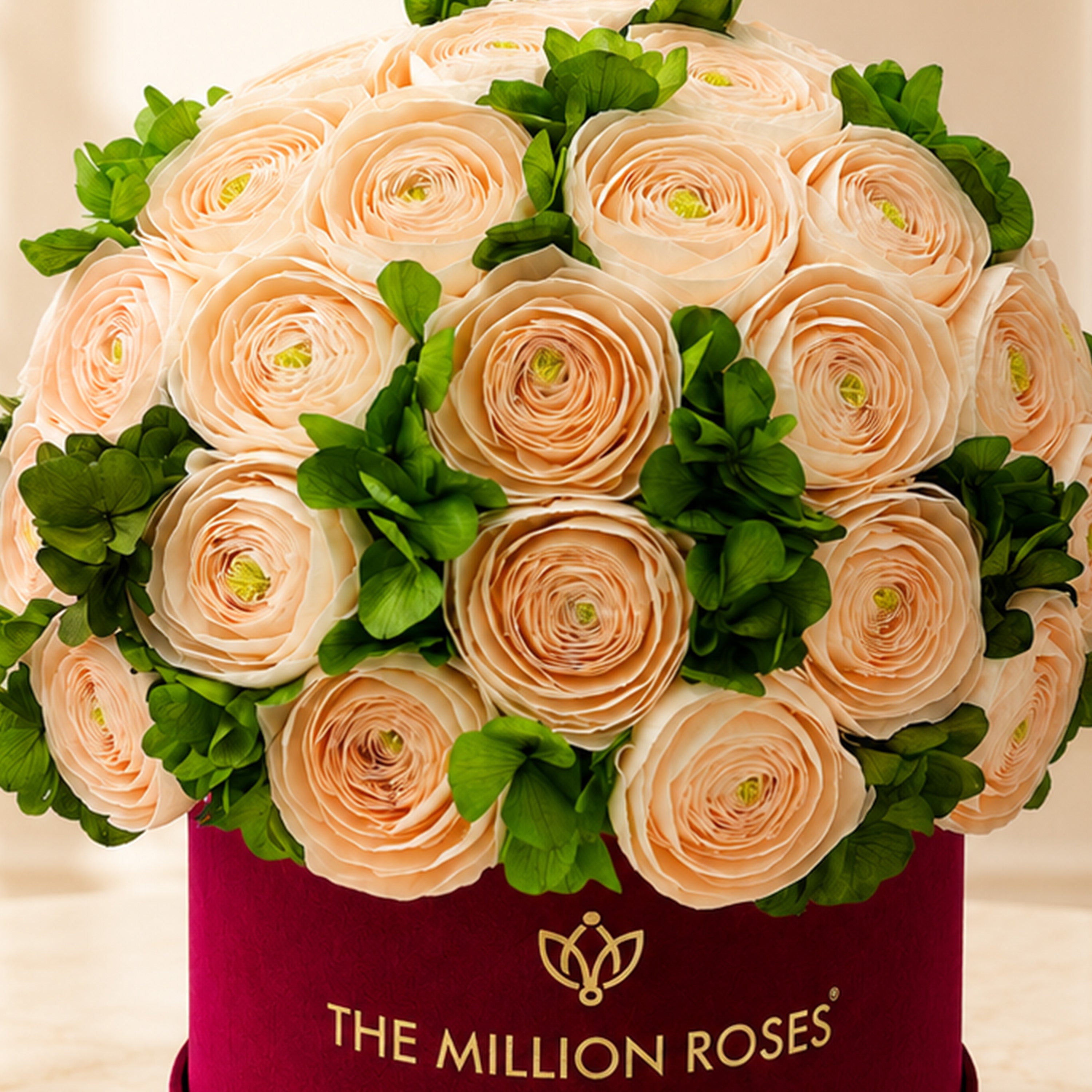 Classic Bordeaux Suede Box | Peach Persian Buttercups & Green Hydrangeas
