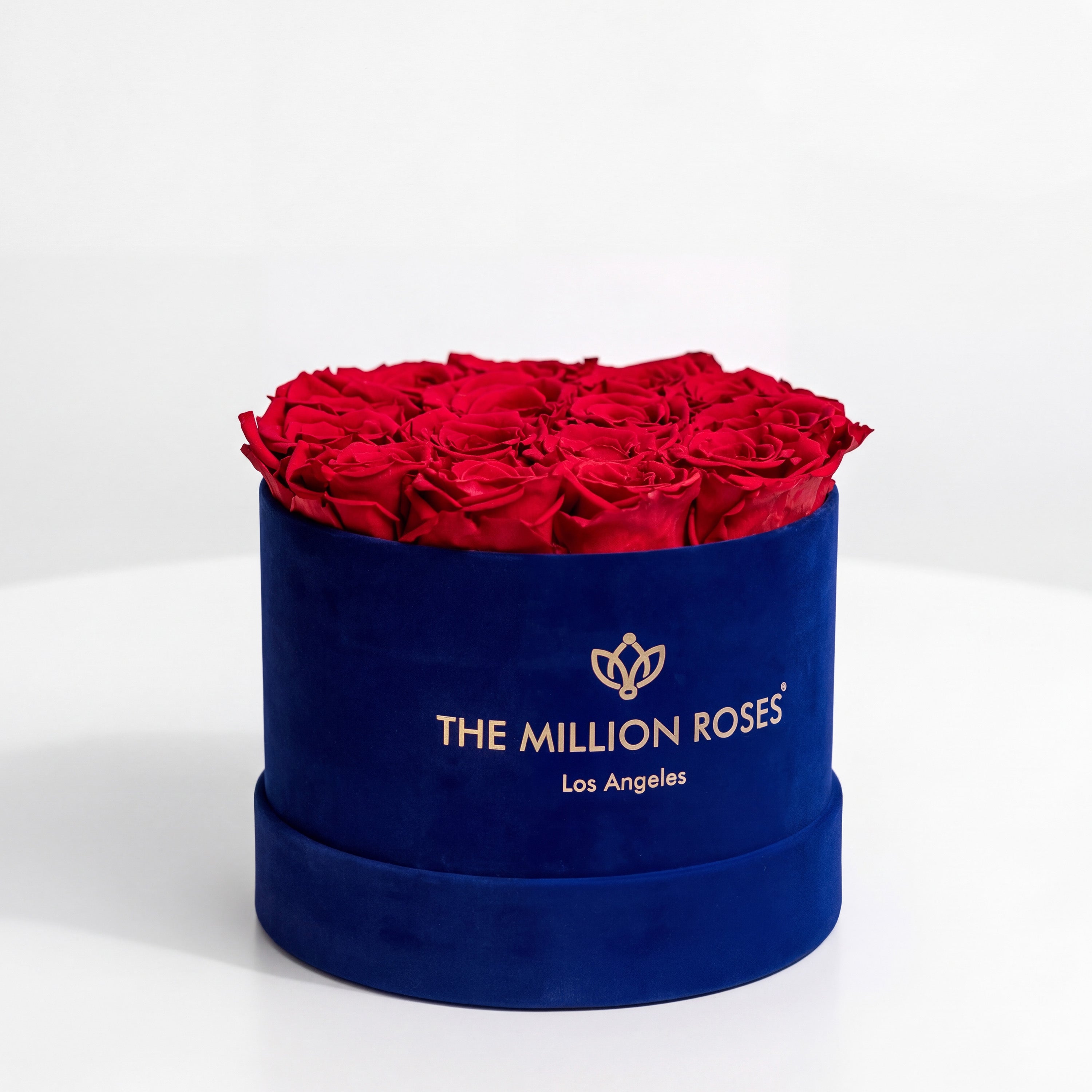 Classic Royal Blue Suede Box | Red Roses
