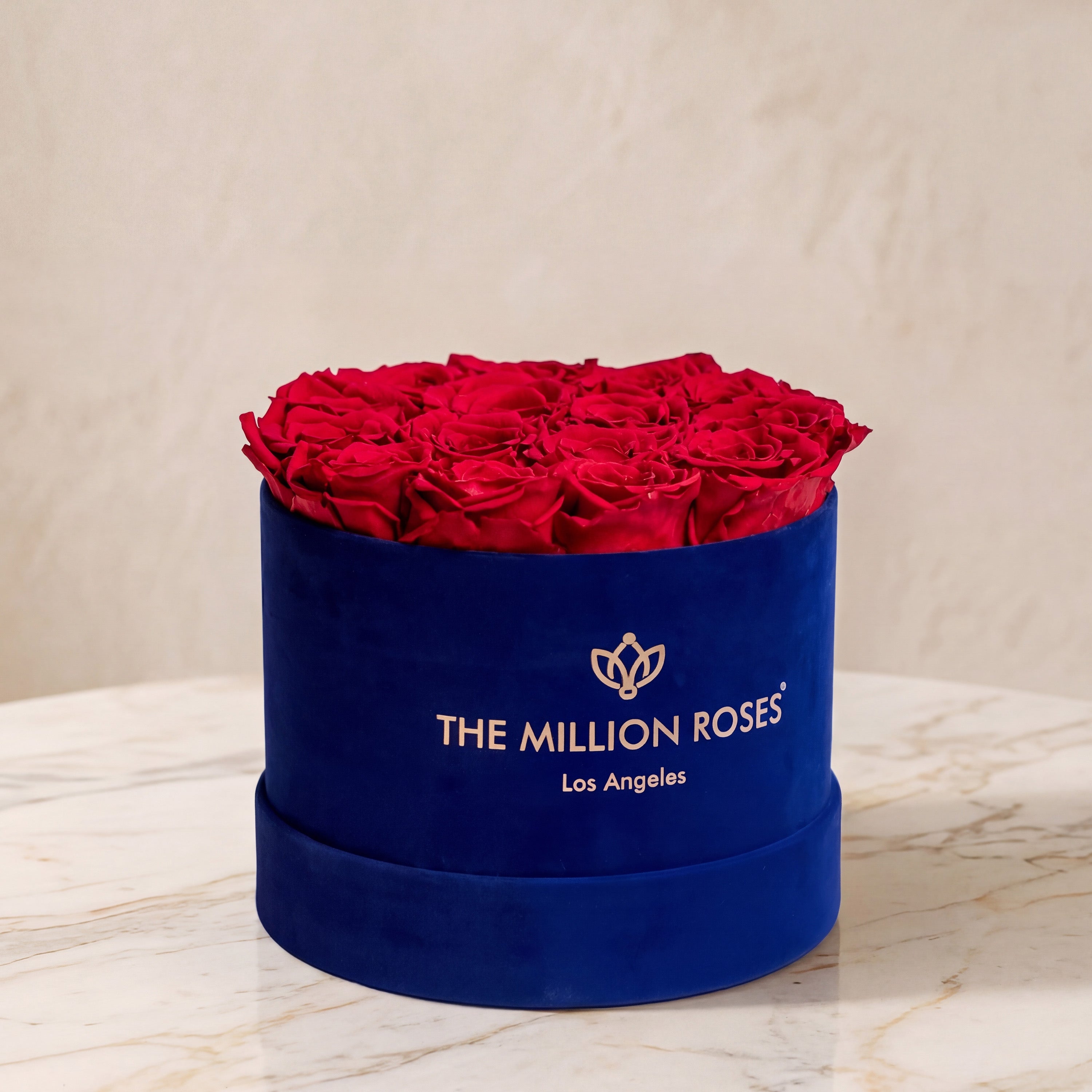 Classic Royal Blue Suede Box | Red Roses