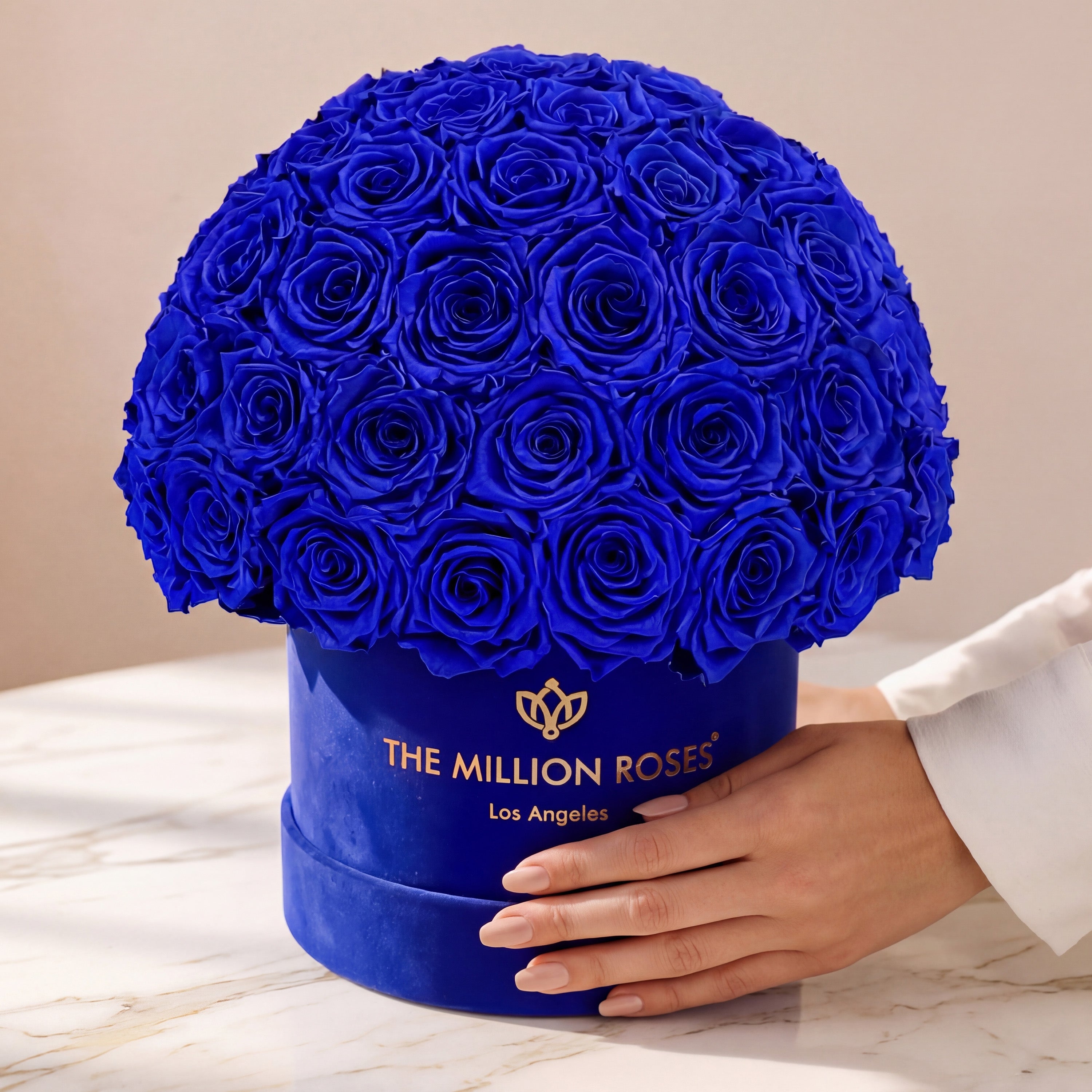 Classic Royal Blue Suede Superdome Box | Royal Blue Roses