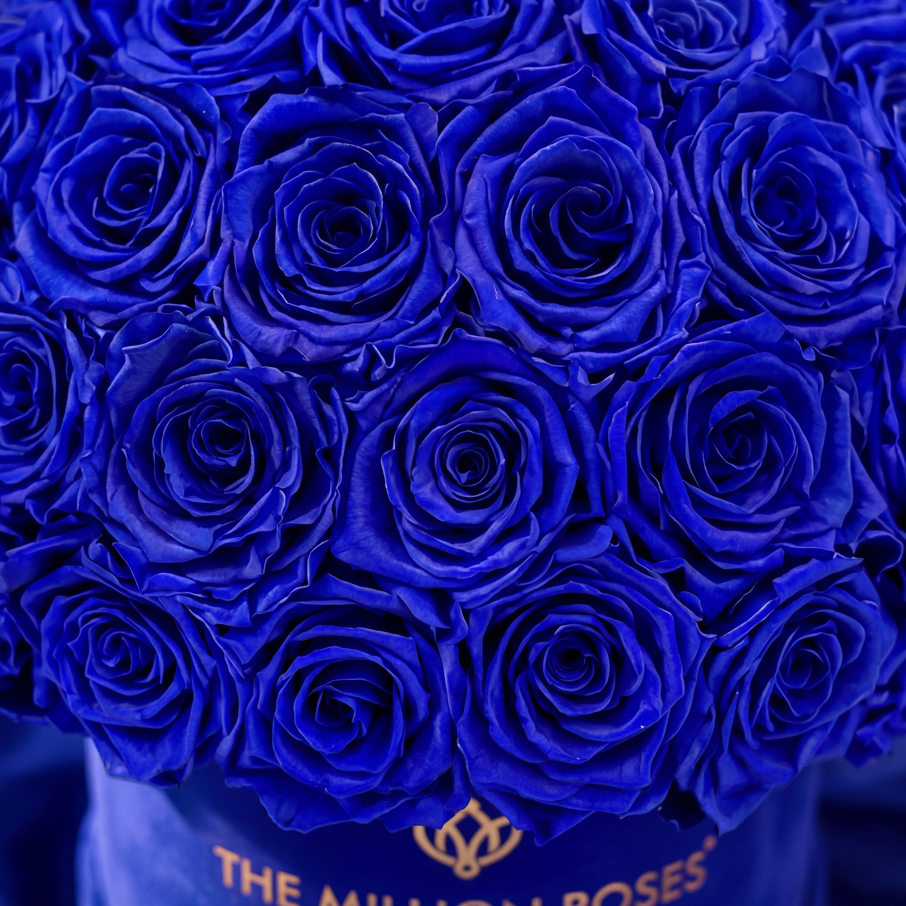 Classic Royal Blue Suede Superdome Box | Royal Blue Roses