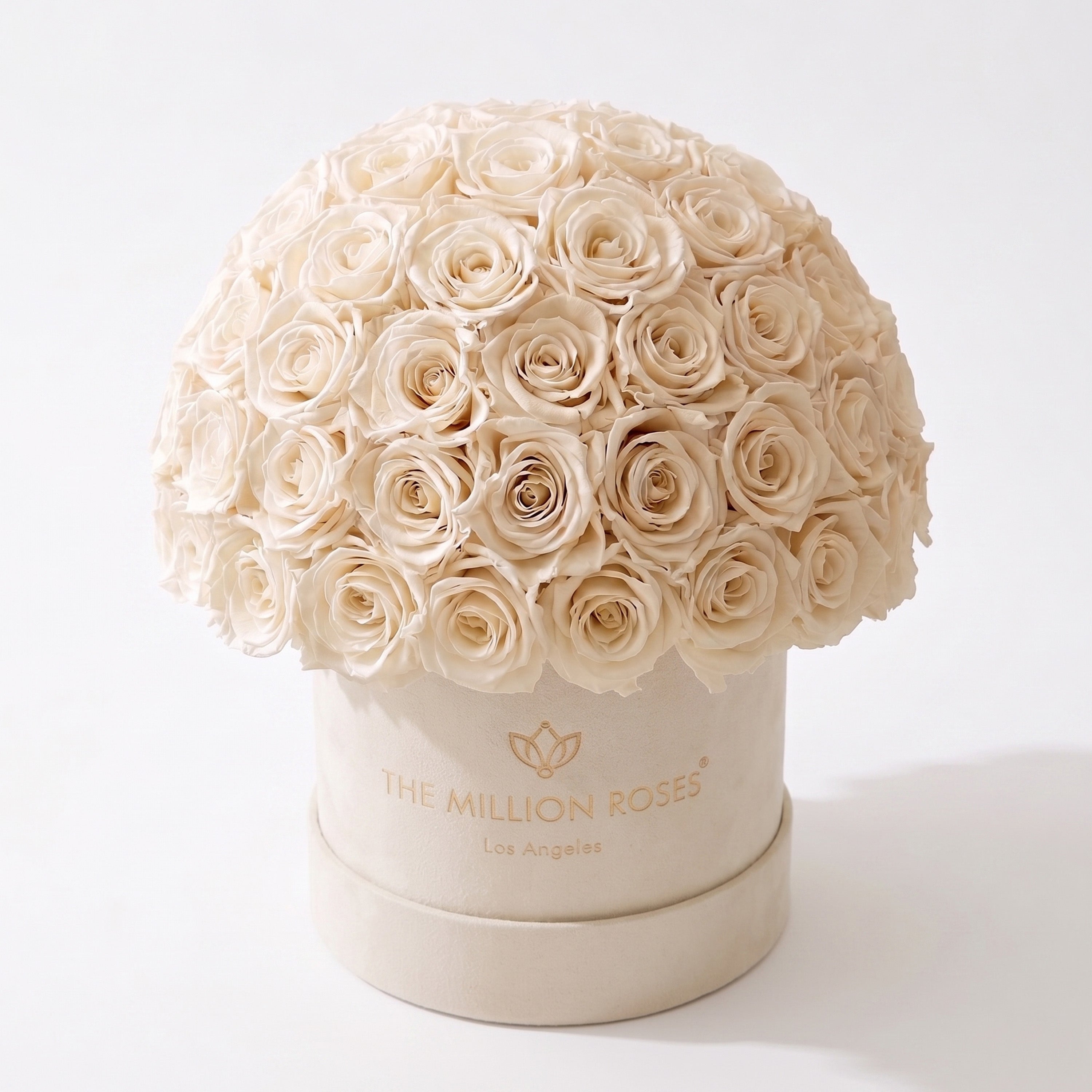 Classic Beige Suede Superdome Box | White Roses