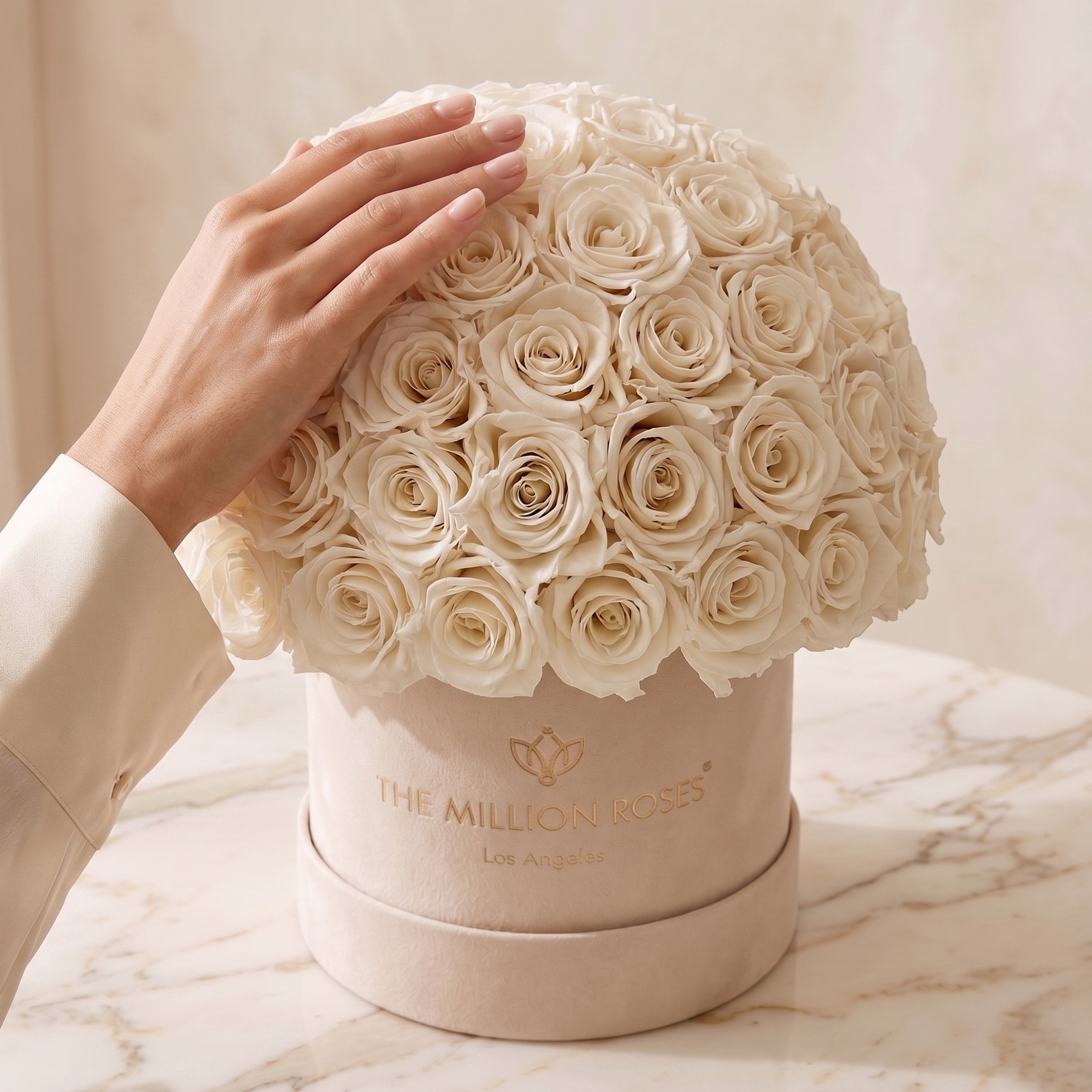 Classic Beige Suede Superdome Box | White Roses