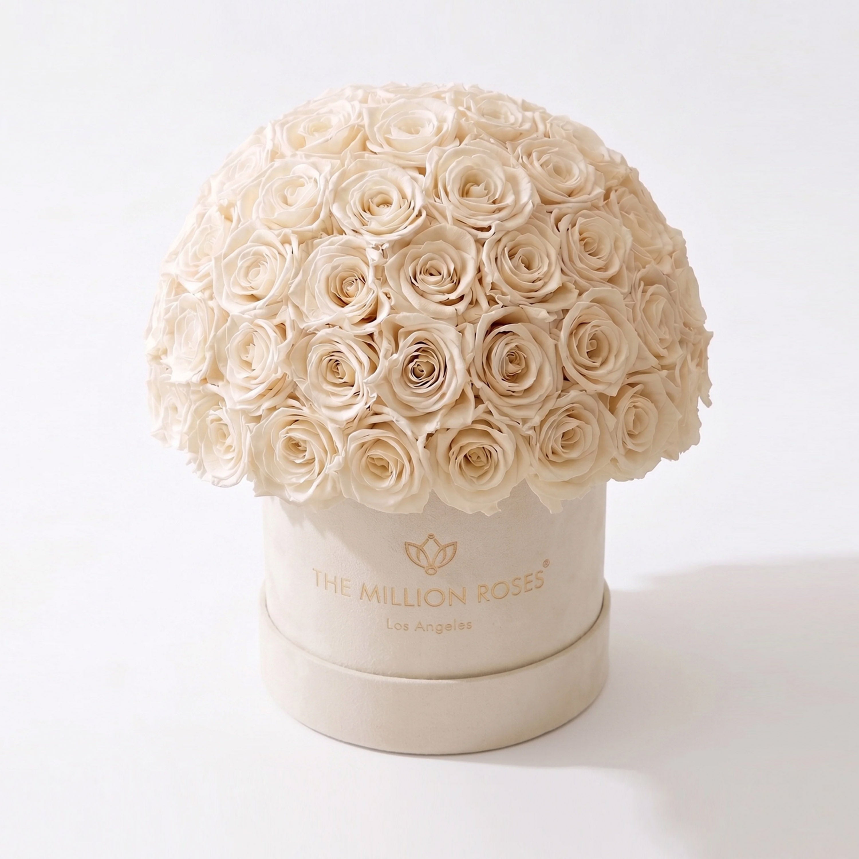 White Preserved Roses - Classic Beige Suede Superdome Box