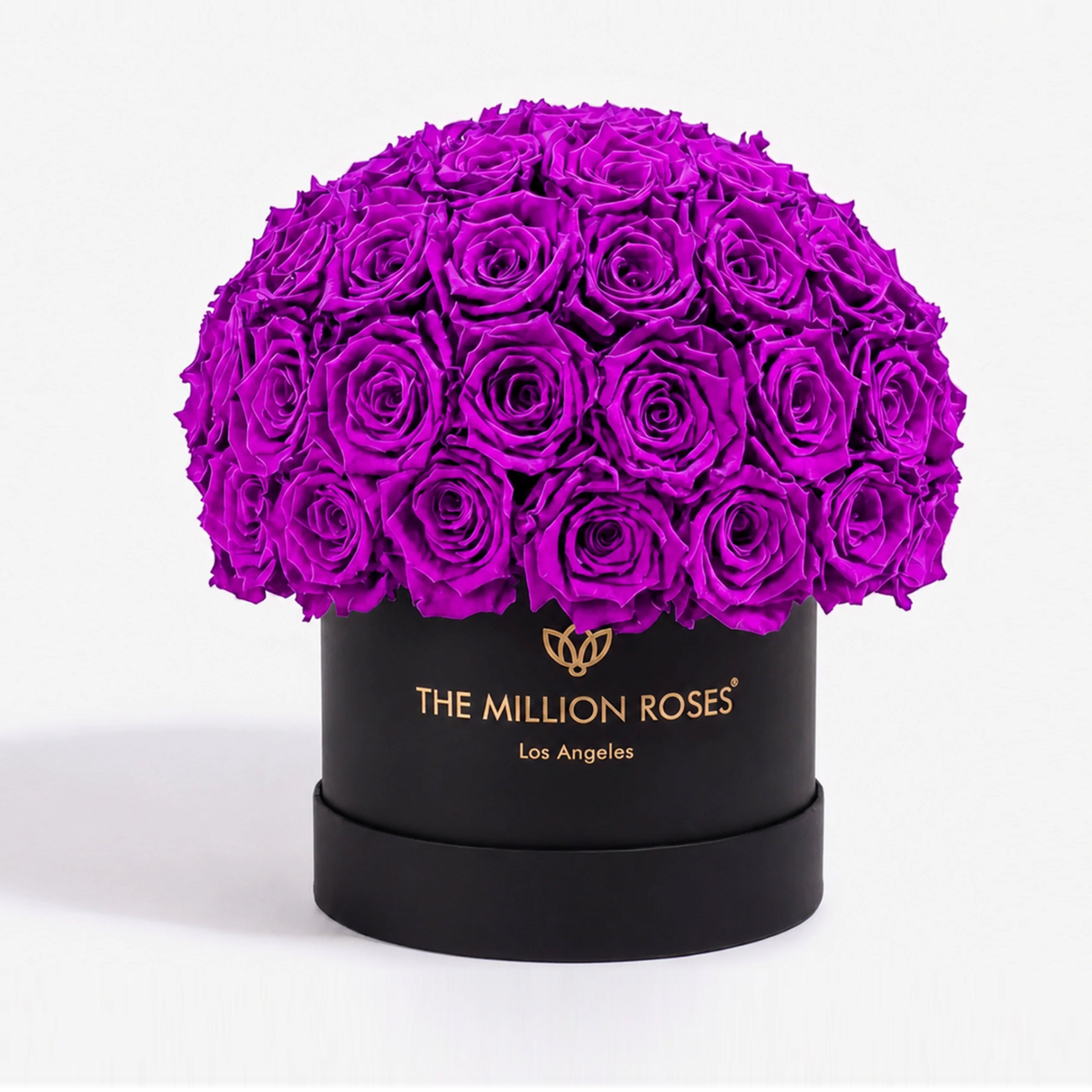 Classic Black Superdome Box | Bright Purple Roses