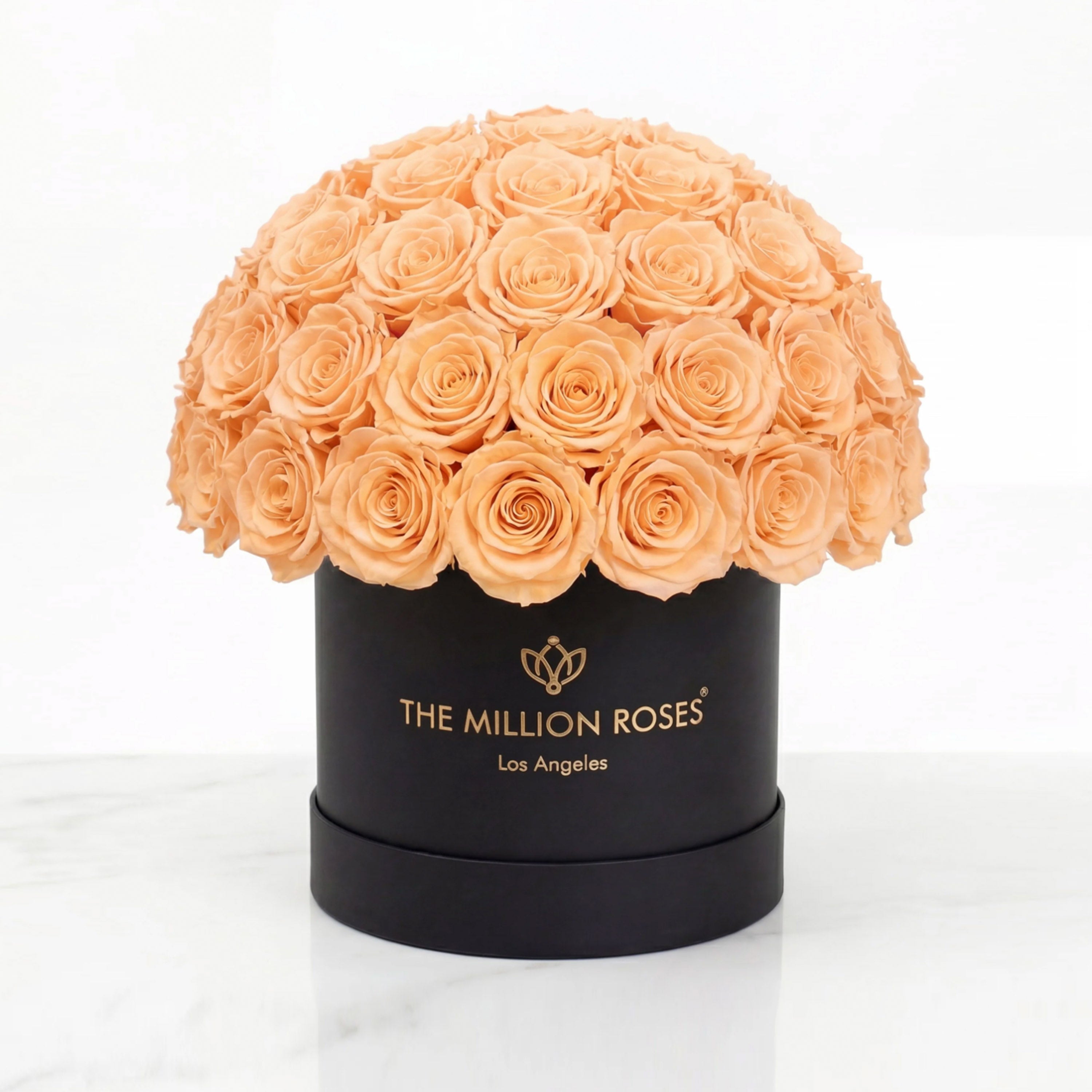Classic Black Superdome Box | Peach Roses