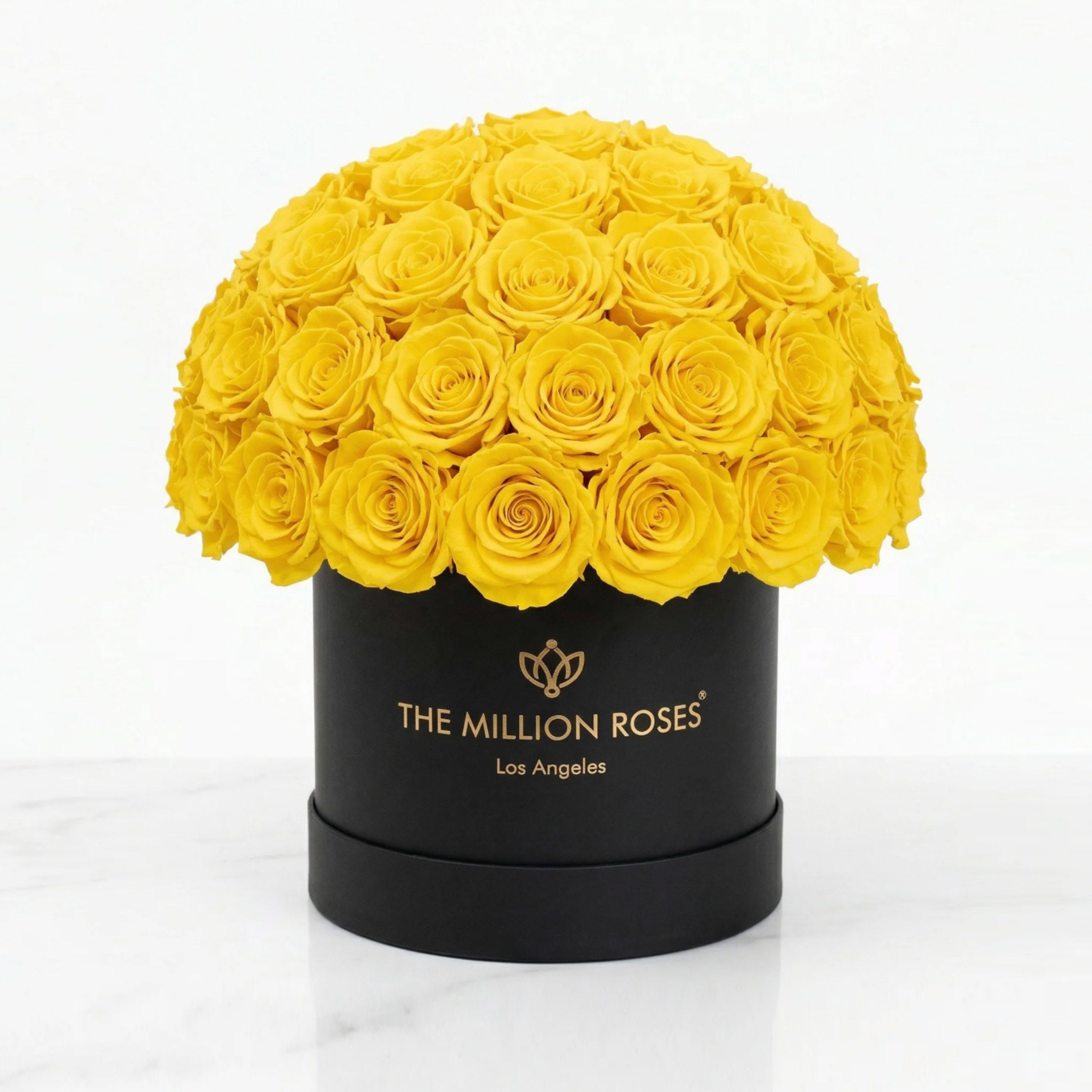 Classic Black Superdome Box | Yellow Roses