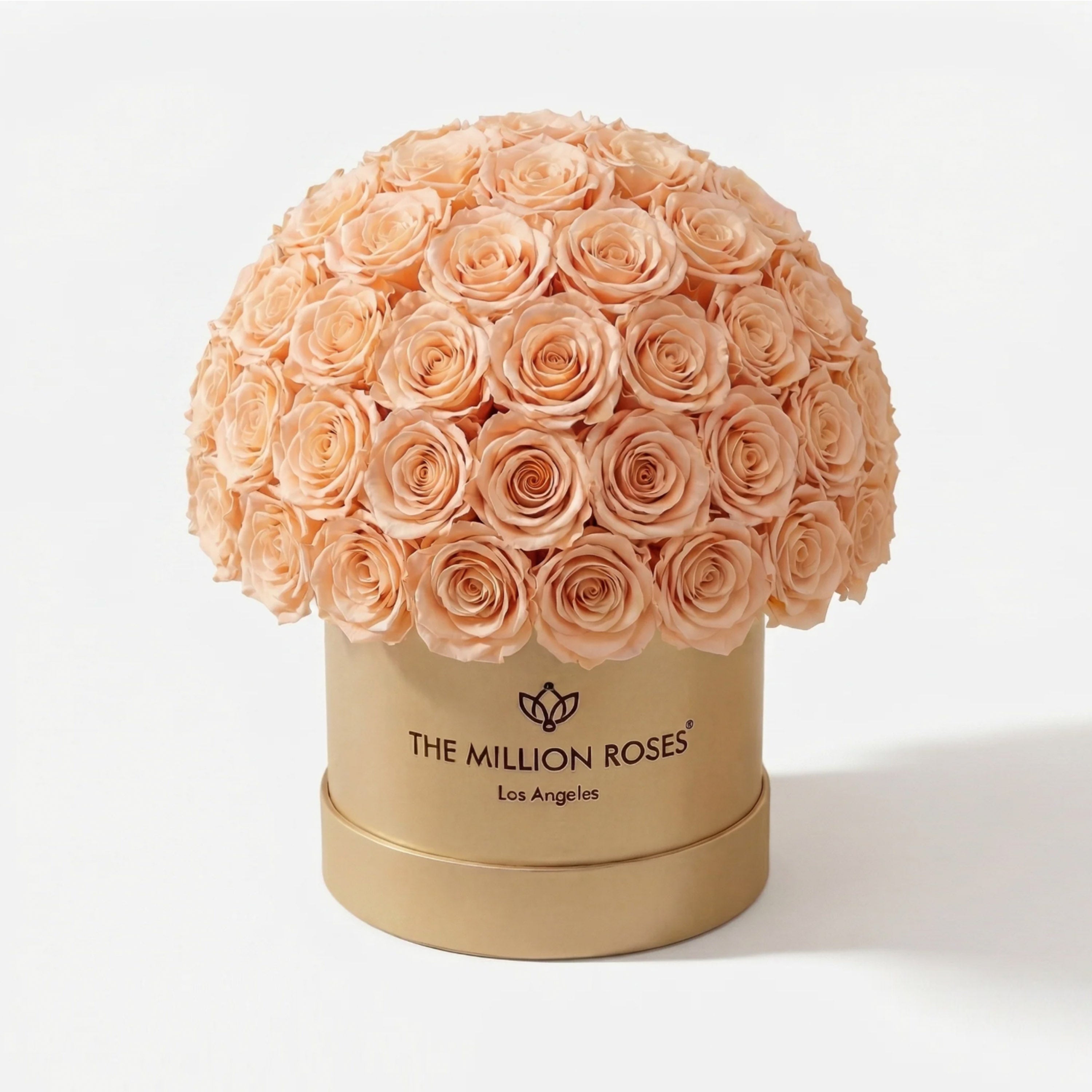 Classic Gold Superdome Box | Peach Roses