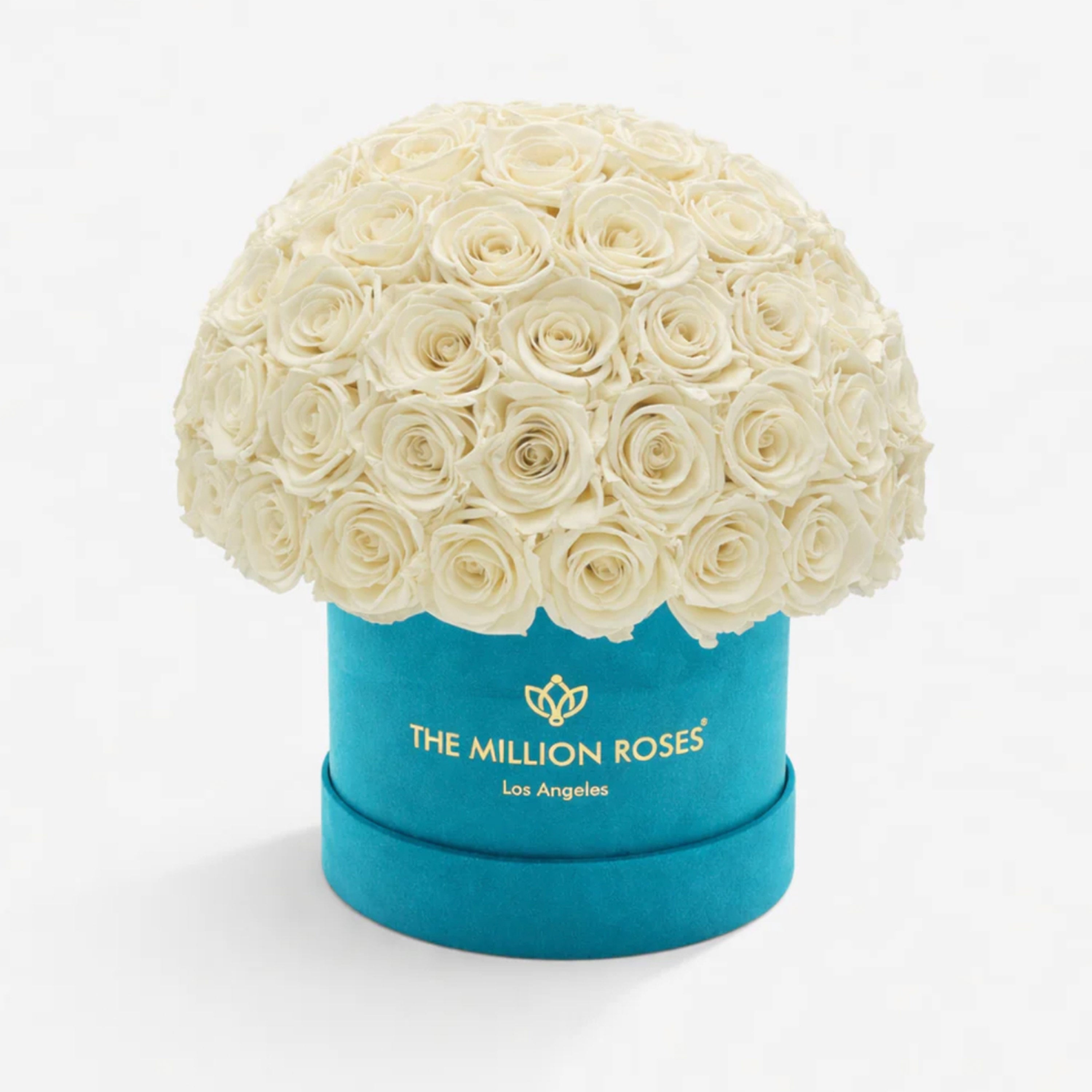 Classic Dark Green Suede Superdome Box | White Roses