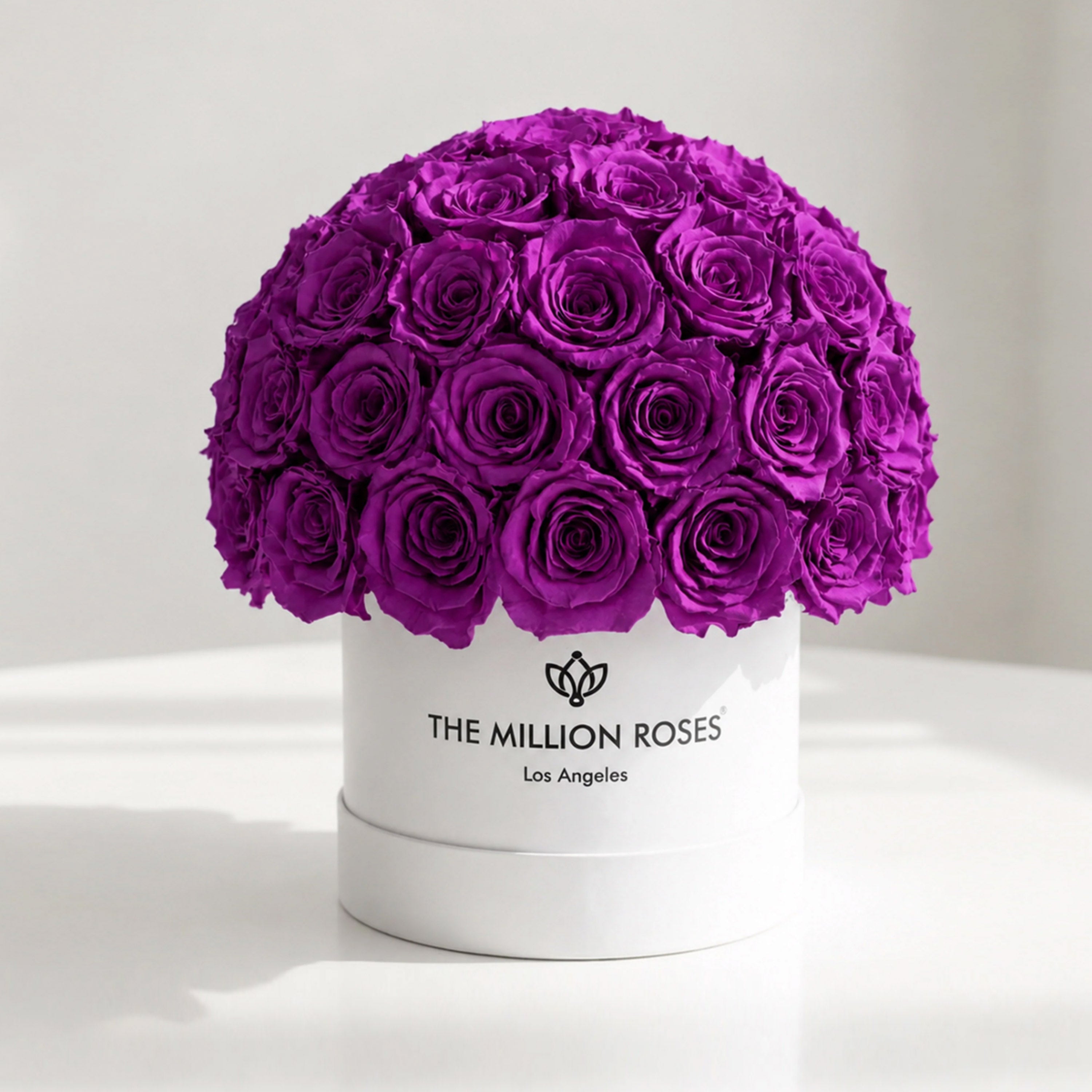 Classic White Superdome Box | Bright Purple Roses