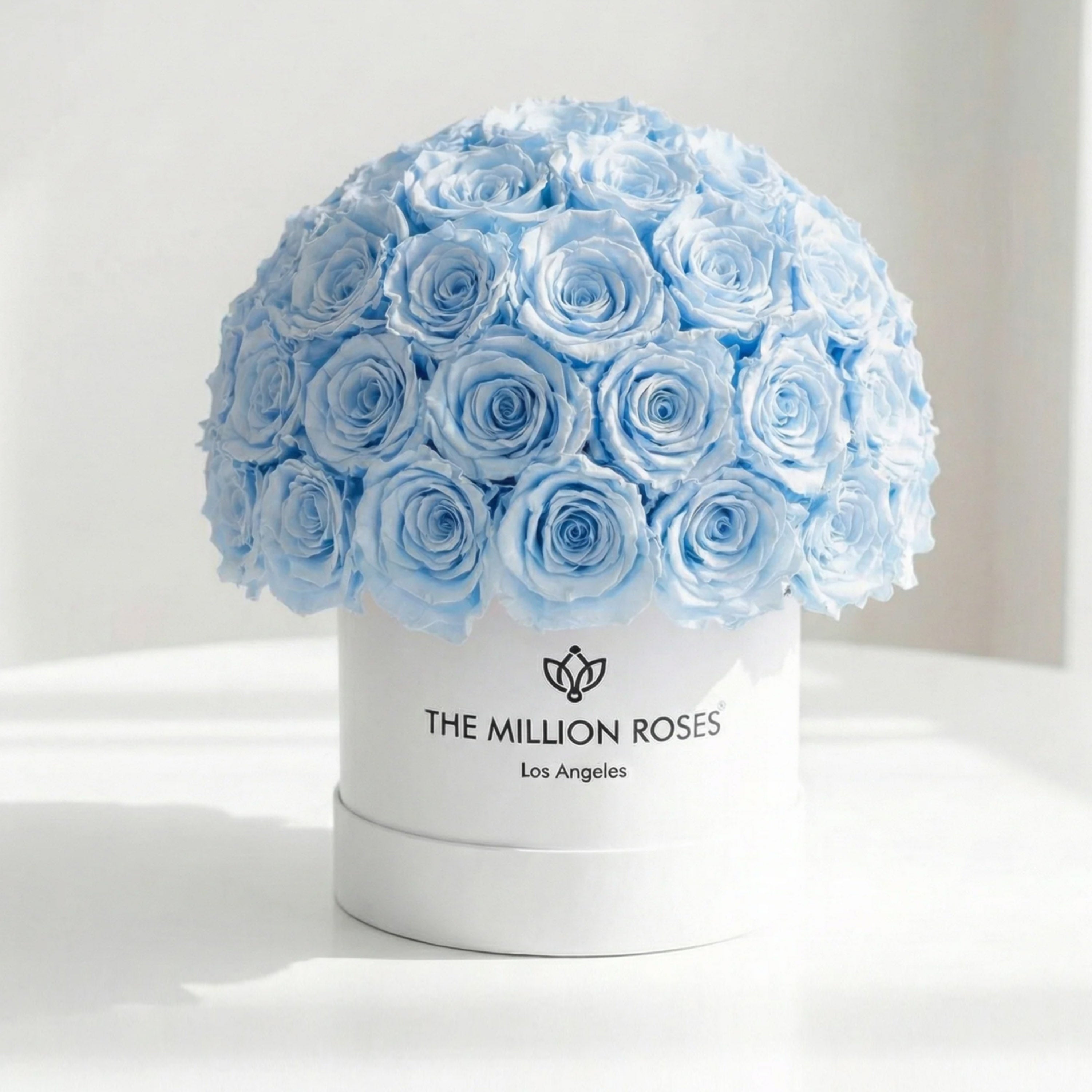 Classic White Superdome Box | Light Blue Roses
